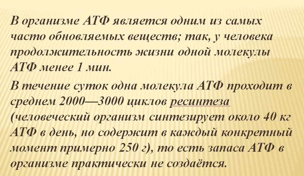 Количество энергии в среднем человеке - Моё, Атф, Биохимия, Факты, Длиннопост