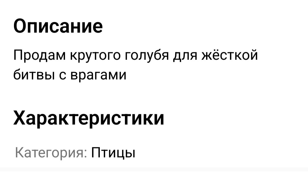 Боевой голубь - Моё, Авито, Объявление на авито, Голубь