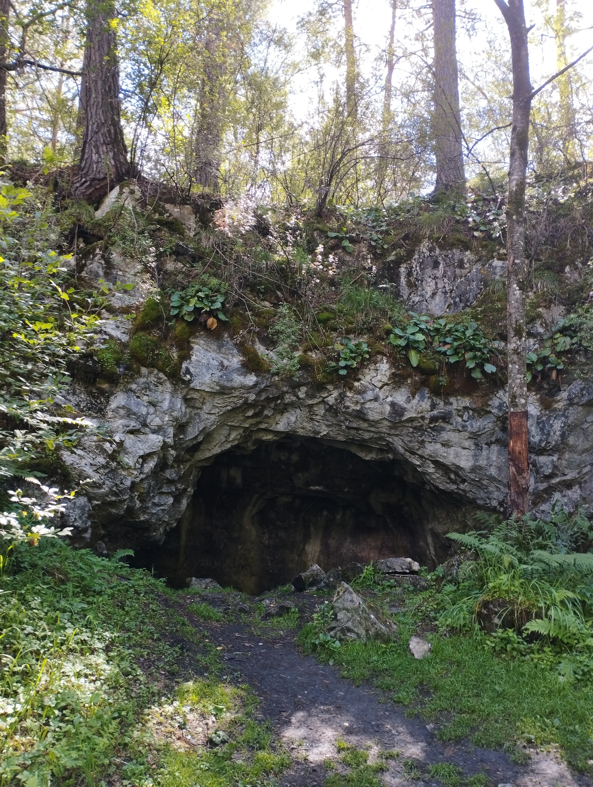 Vacation in Gorny Altai. Day 5. Tavdinsky caves - My, Altai Republic, Vacation, The photo, Katun, Manzherok, Tavda Caves, Longpost