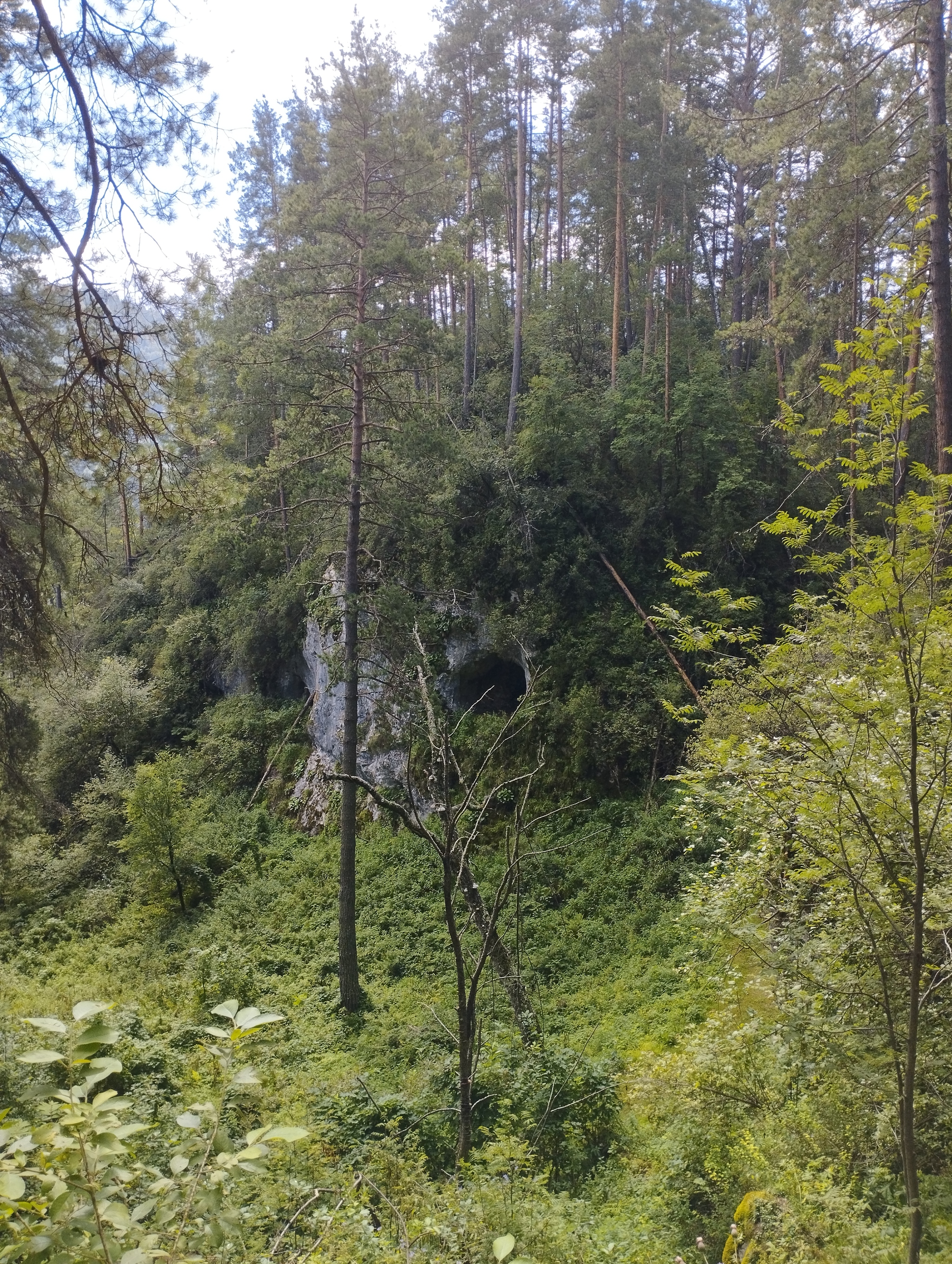 Vacation in Gorny Altai. Day 5. Tavdinsky caves - My, Altai Republic, Vacation, The photo, Katun, Manzherok, Tavda Caves, Longpost