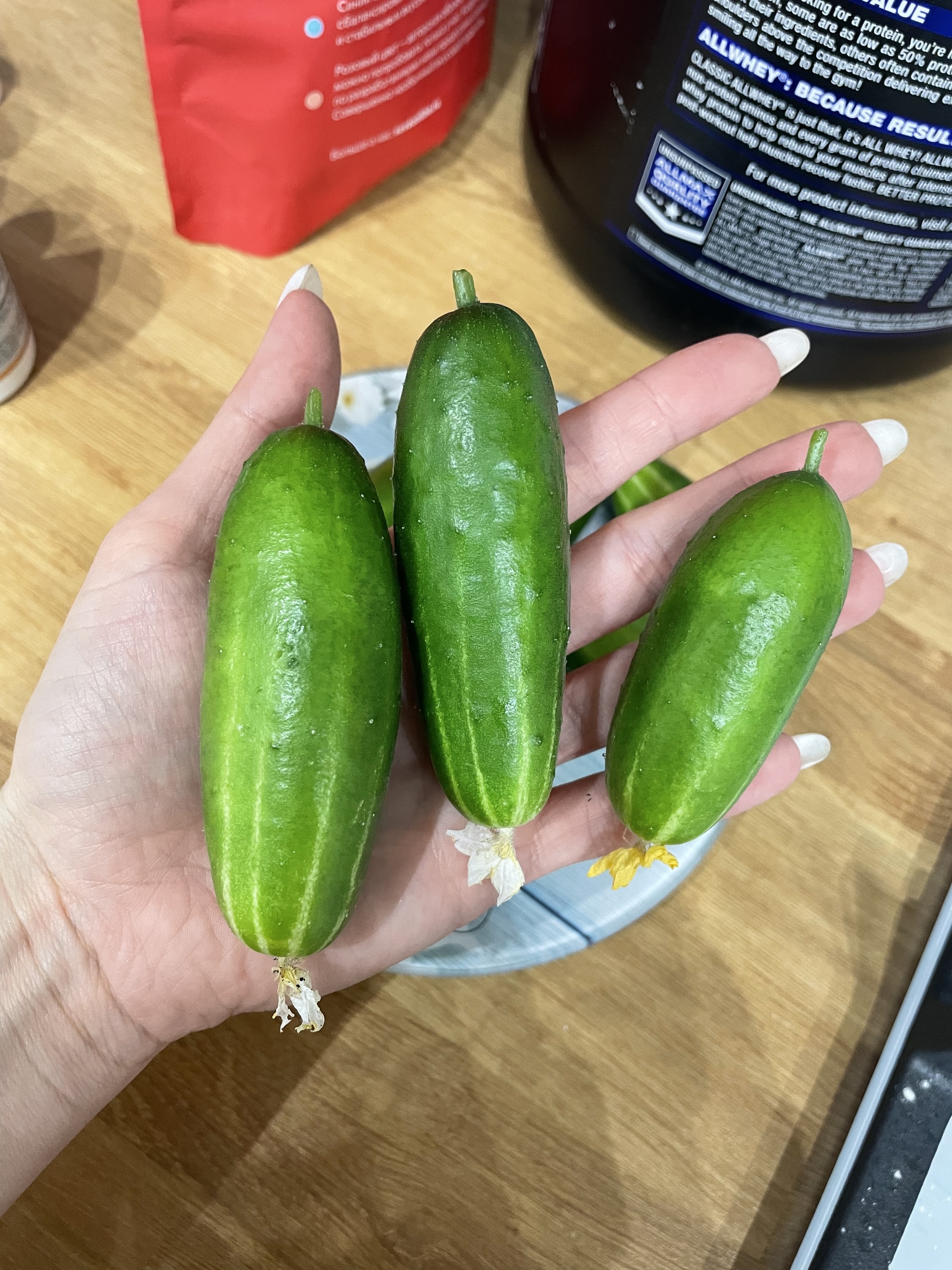 Harvest vegetables on the window - Vegetable garden on the windowsill, Hobby, Longpost