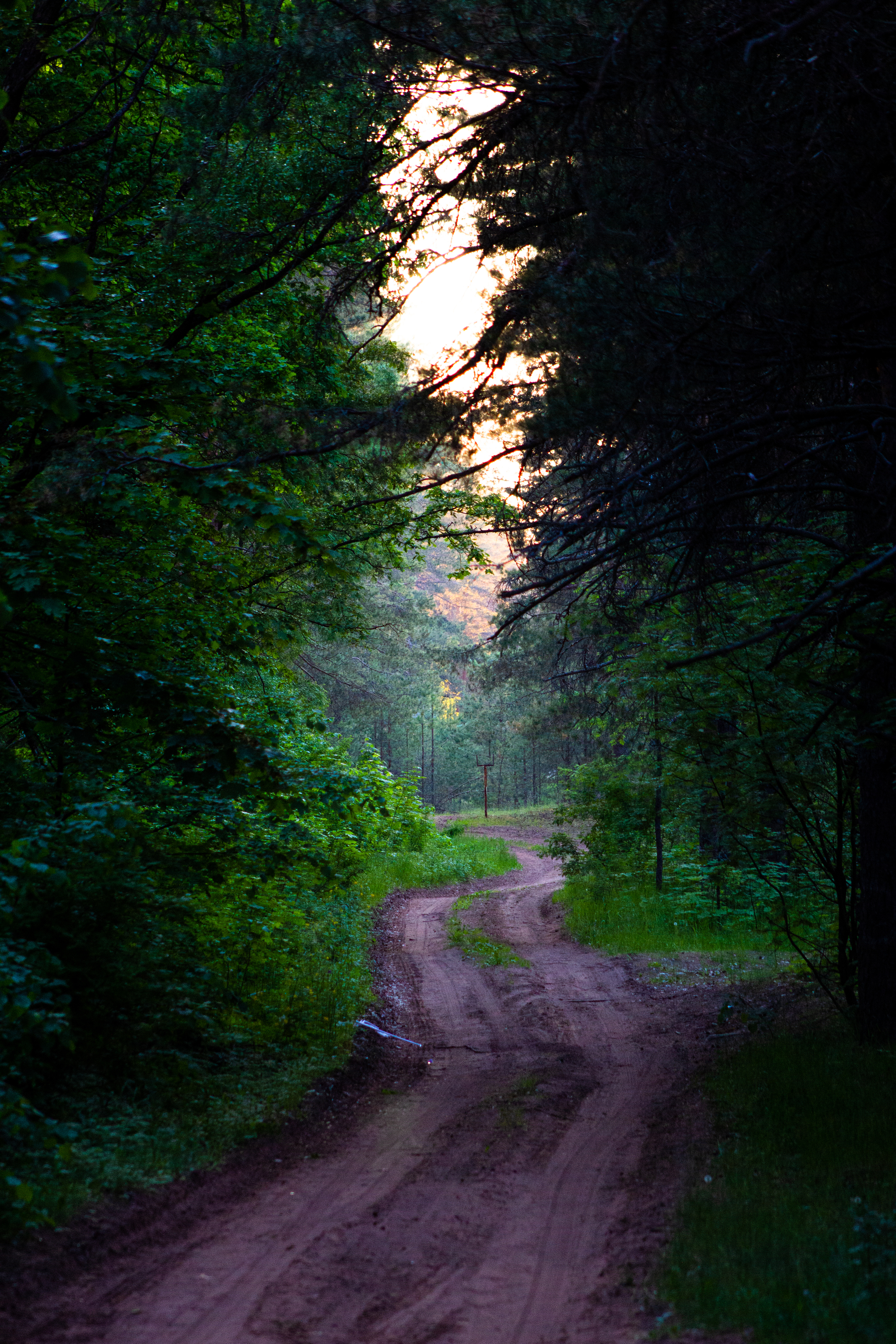 There on unknown paths - My, Forest, Road, Fog, The photo, The unknown, Longpost