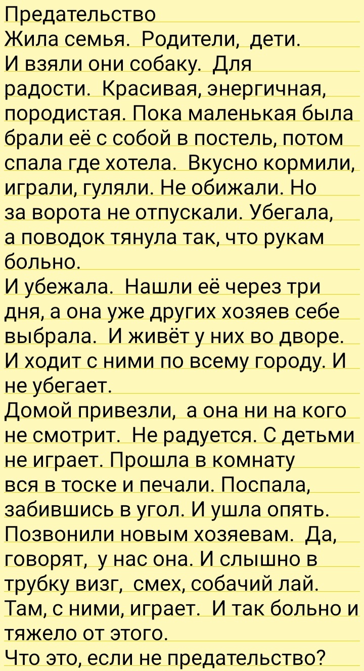 Предательство? | Пикабу