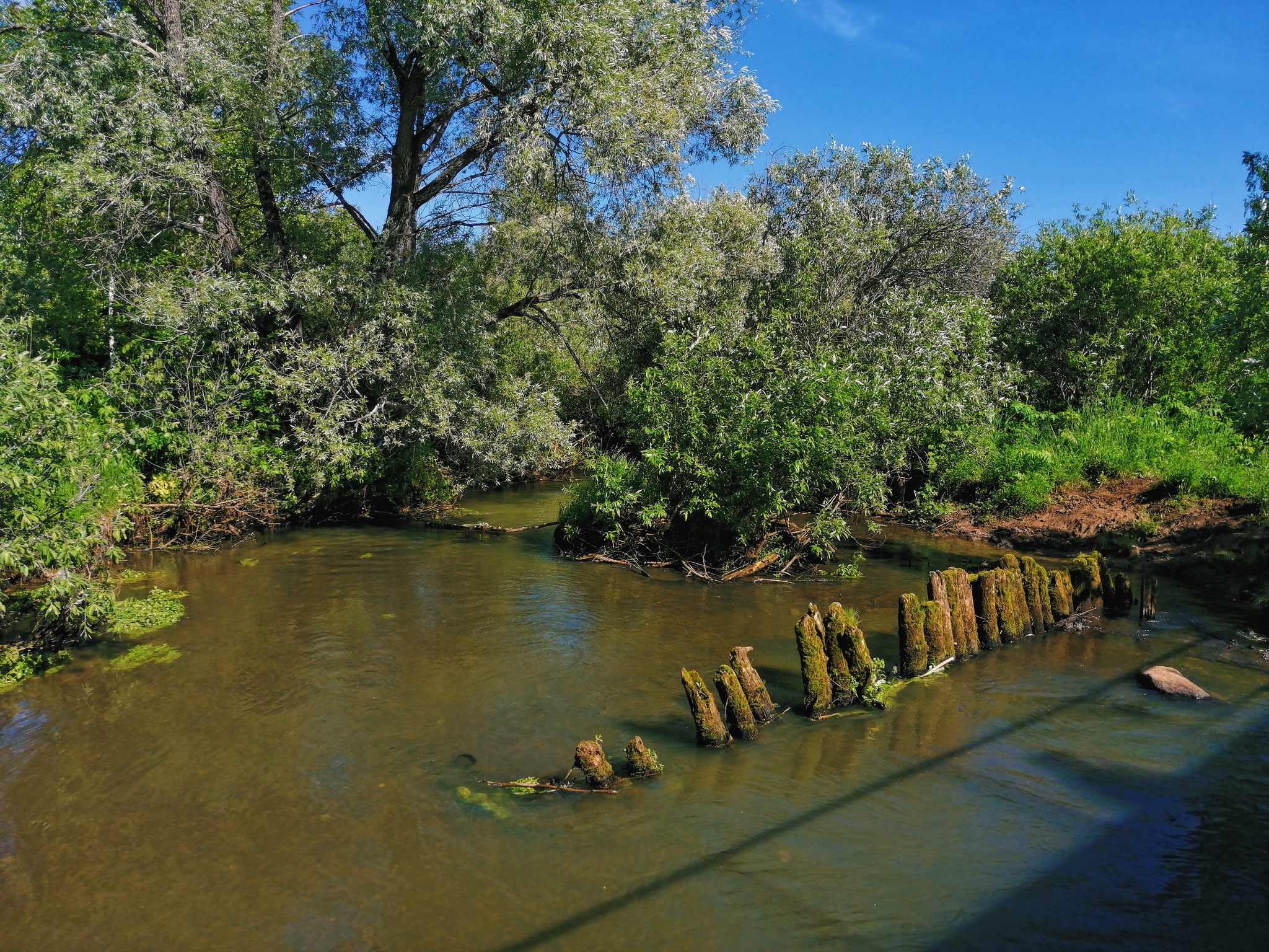 Melnikovo, Shegarsky district (Chemistry) - My, Chemistry, Nature, Bridge, Summer, beauty of nature, Mobile photography, Photographer, Longpost, pros