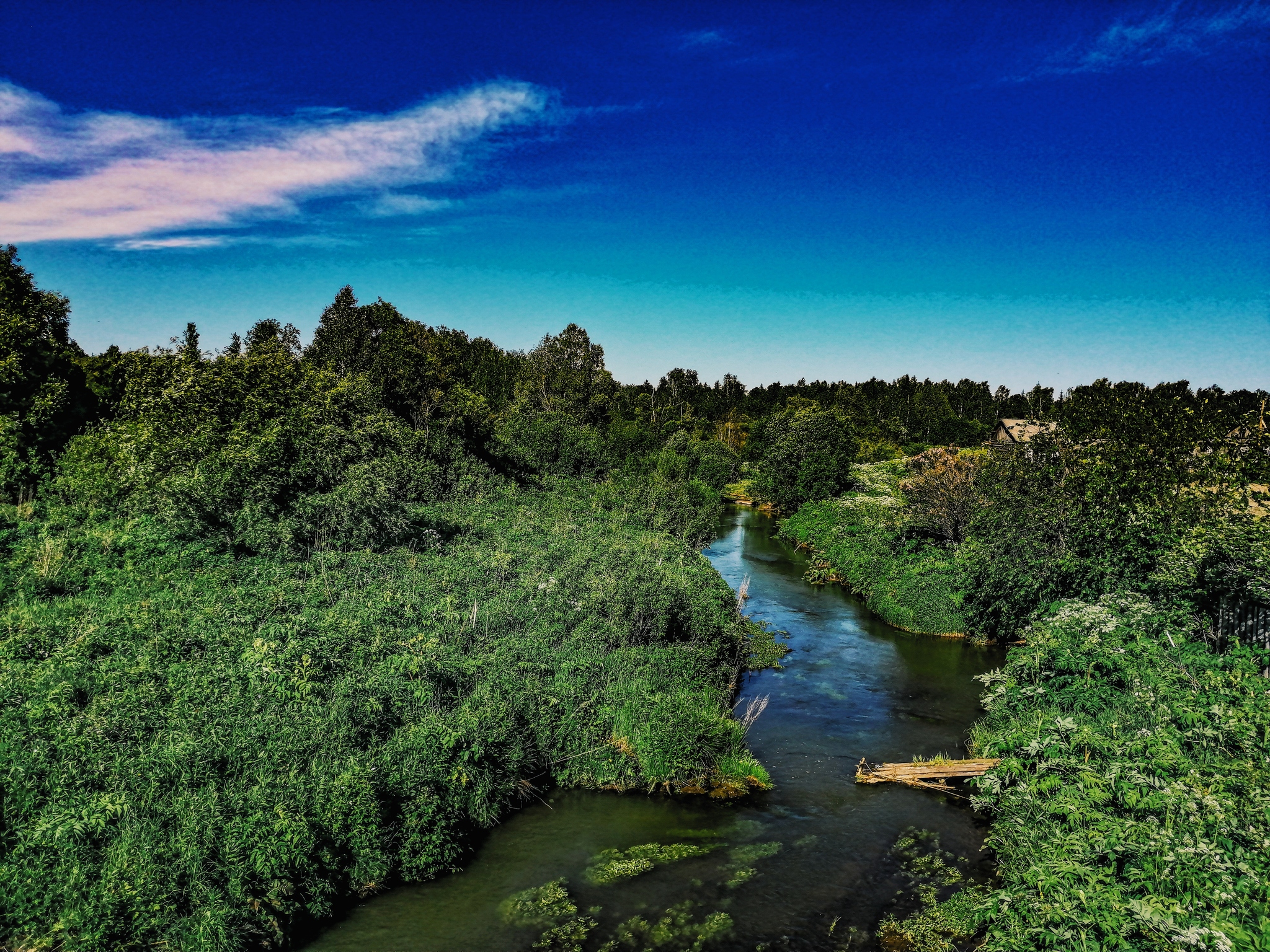 Melnikovo, Shegarsky district (Chemistry) - My, Chemistry, Nature, Bridge, Summer, beauty of nature, Mobile photography, Photographer, Longpost, pros