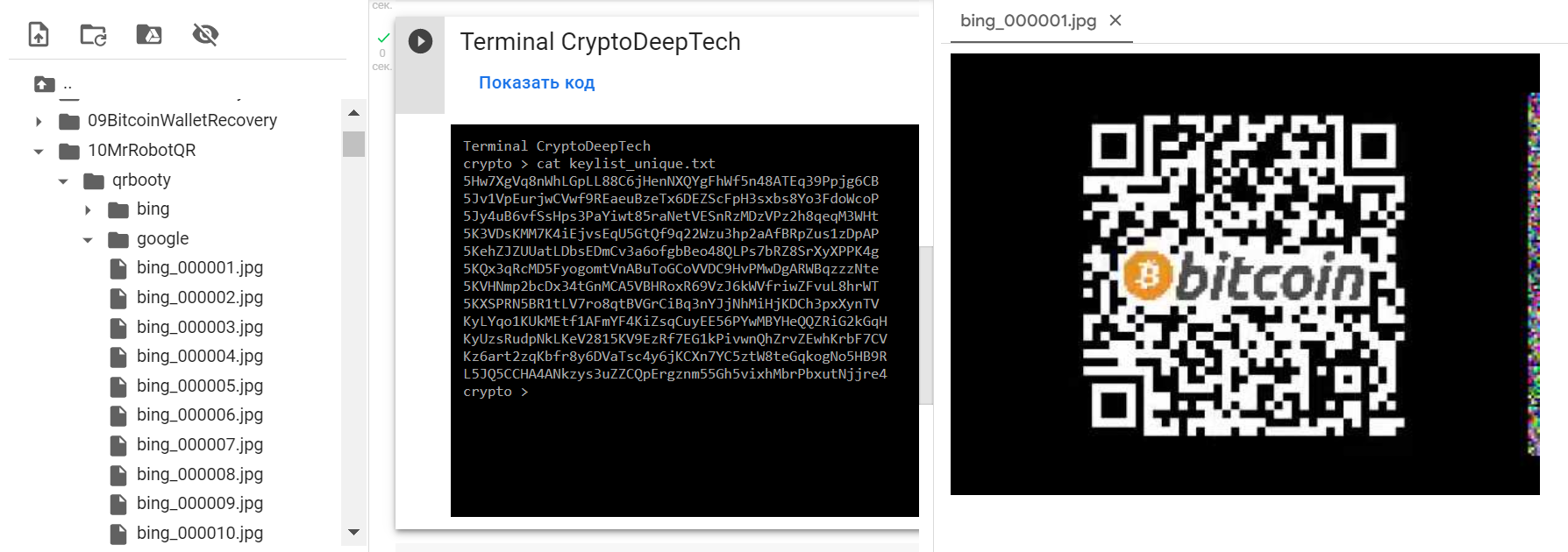 MrRobotQR сканируем QR-коды из поисковых систем в поисках приватных ключей  Биткоин Кошельков | Пикабу