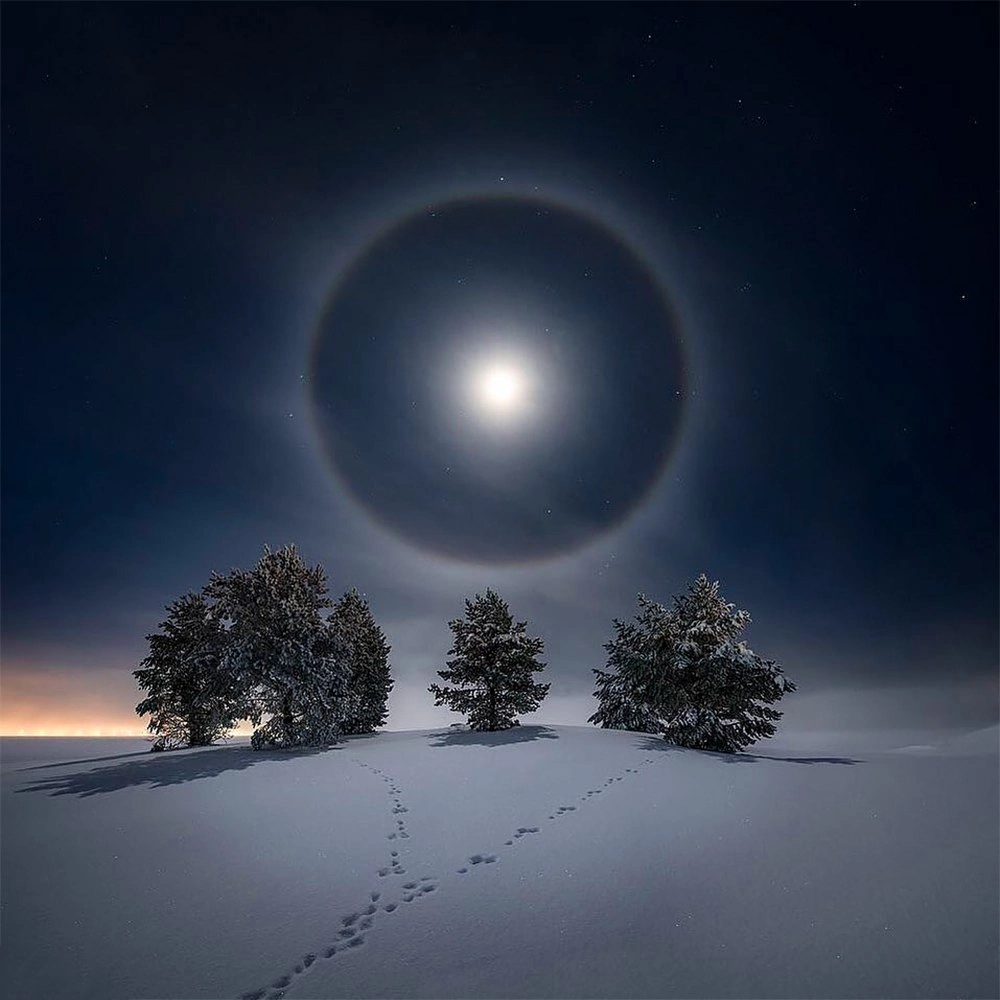 Лунное гало. Остерсунд, Швеция - Фотография, Гало, Дерево, Снег, Ночь, Луна, Следы, Швеция, Оптические иллюзии