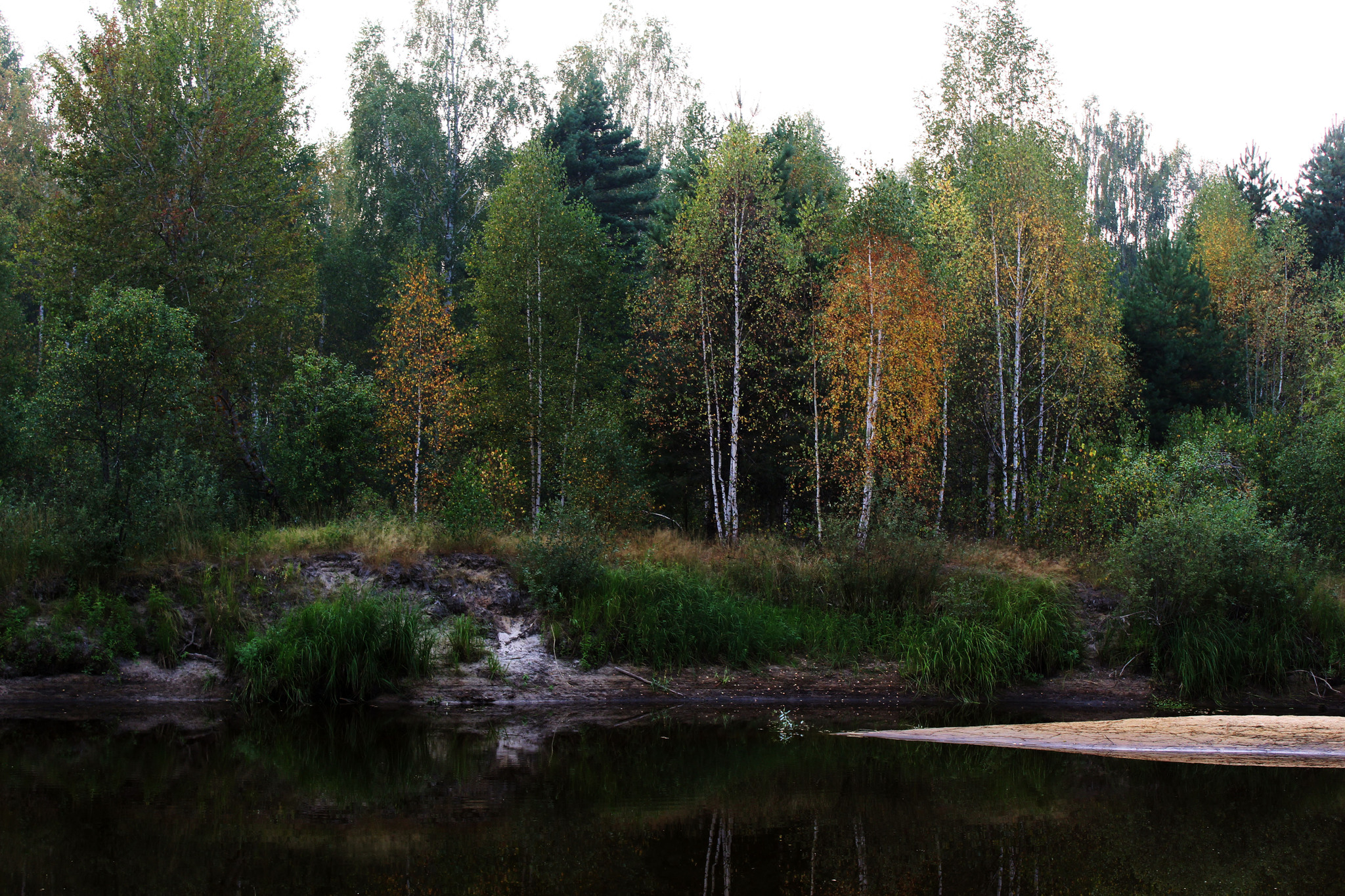 The nature of the middle lane at the end of summer - My, Nature, August, The photo, Beginning photographer, Longpost