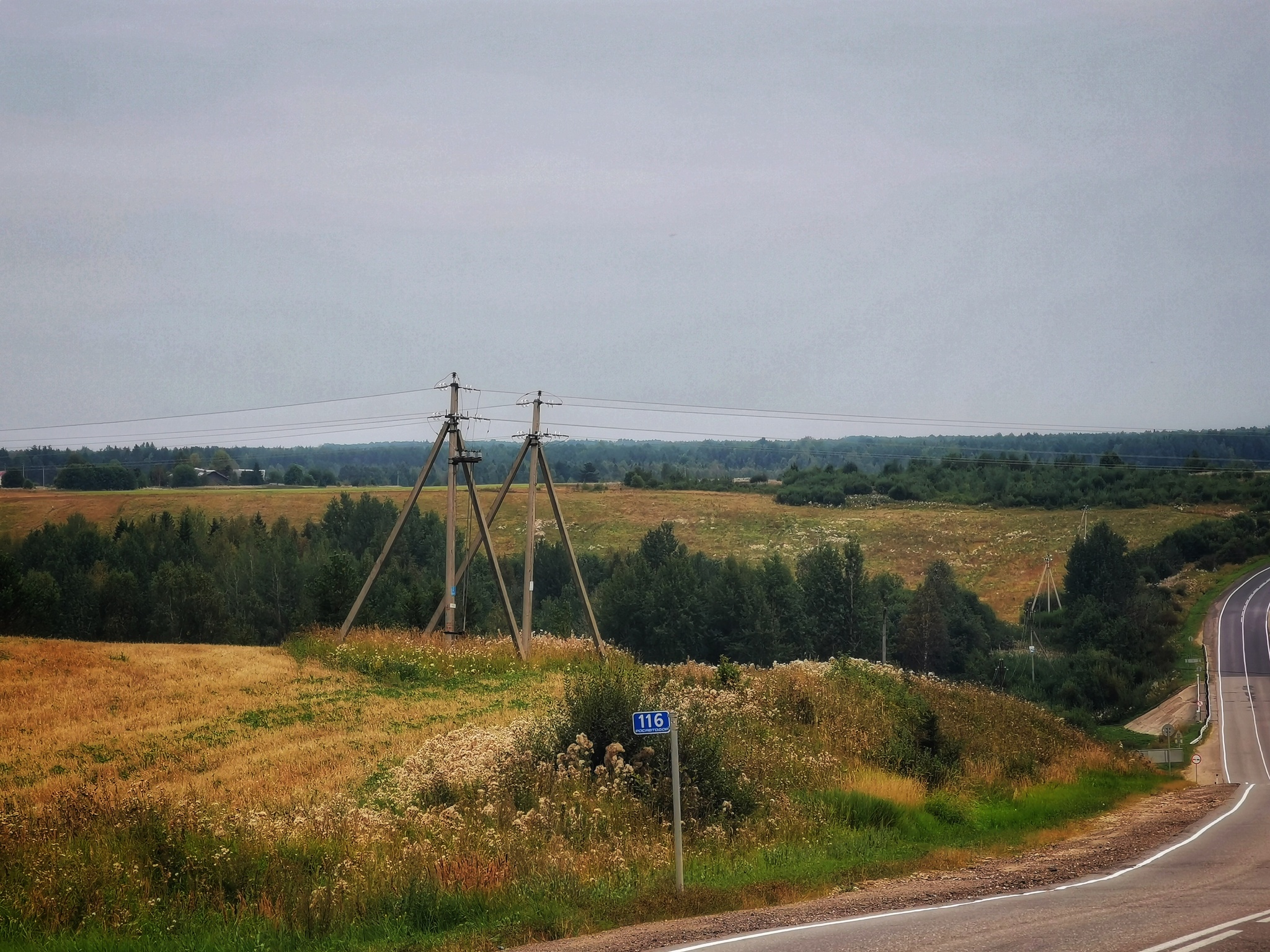 С поля все убрано. Скоро осень - Моё, Поле, Провод, Лес, Трасса, Фотография