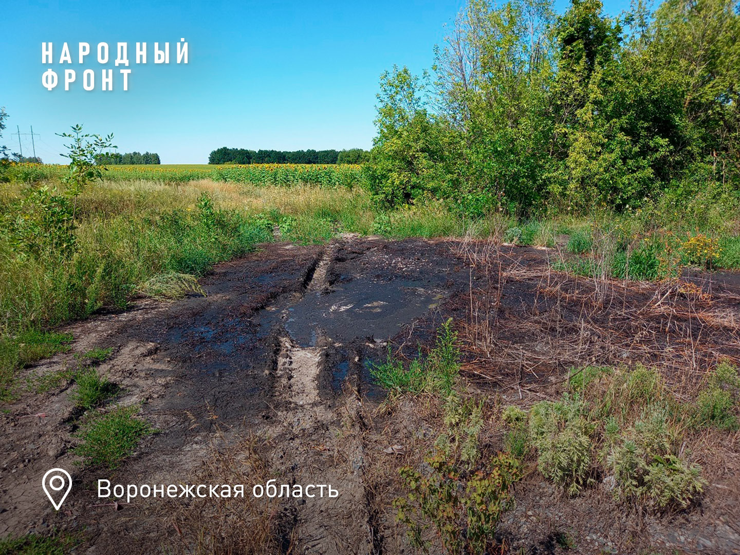 Воронежские черноземы отравляют токсичными отходами - Моё, Негатив, Экология, Безопасность, Воронеж, Мусор, Длиннопост, Здоровье