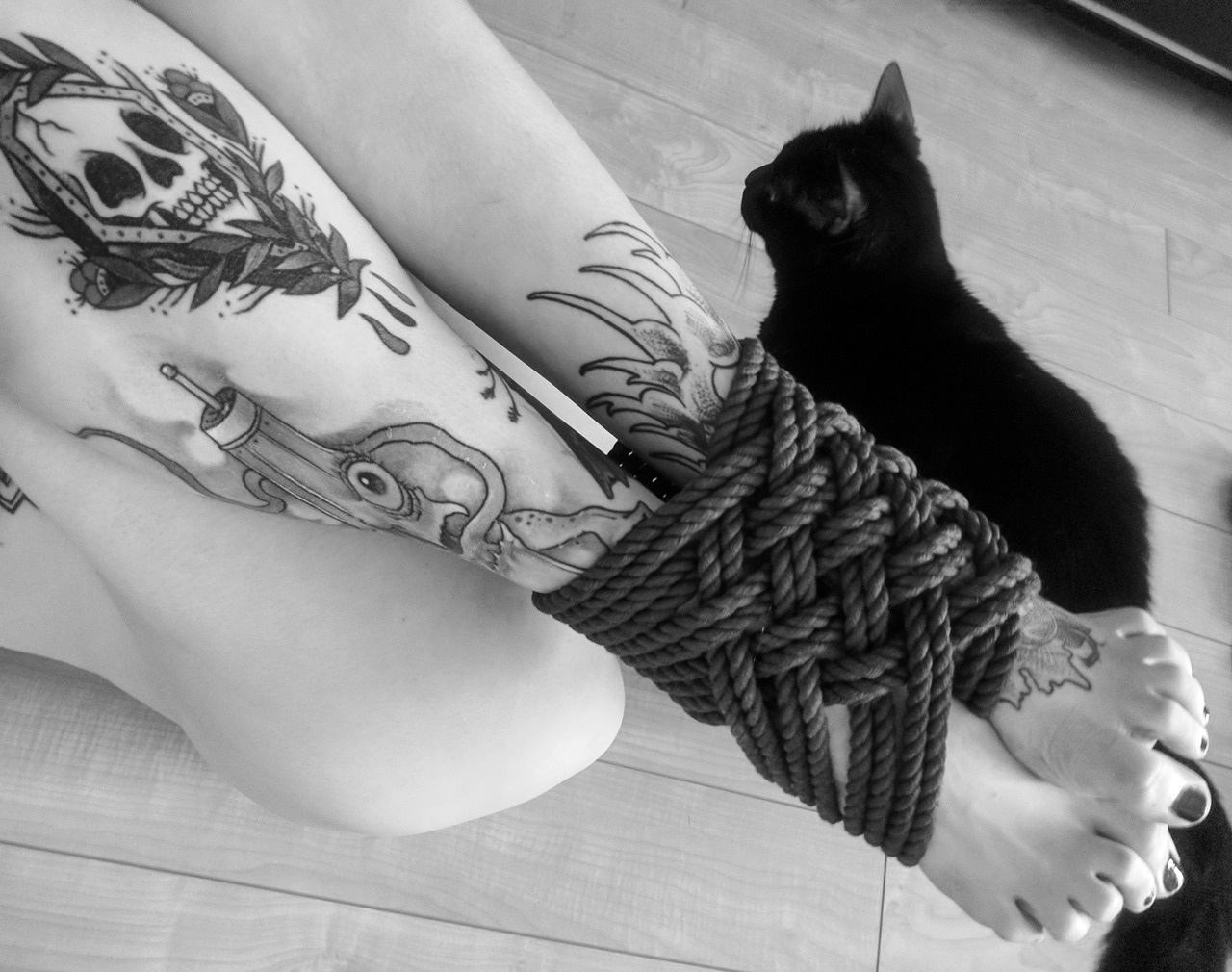 Cats and girls | Ero aesthetic #5 - NSFW, Erotic, The photo, Girls, Boobs, Nudity, Black cat, Longpost