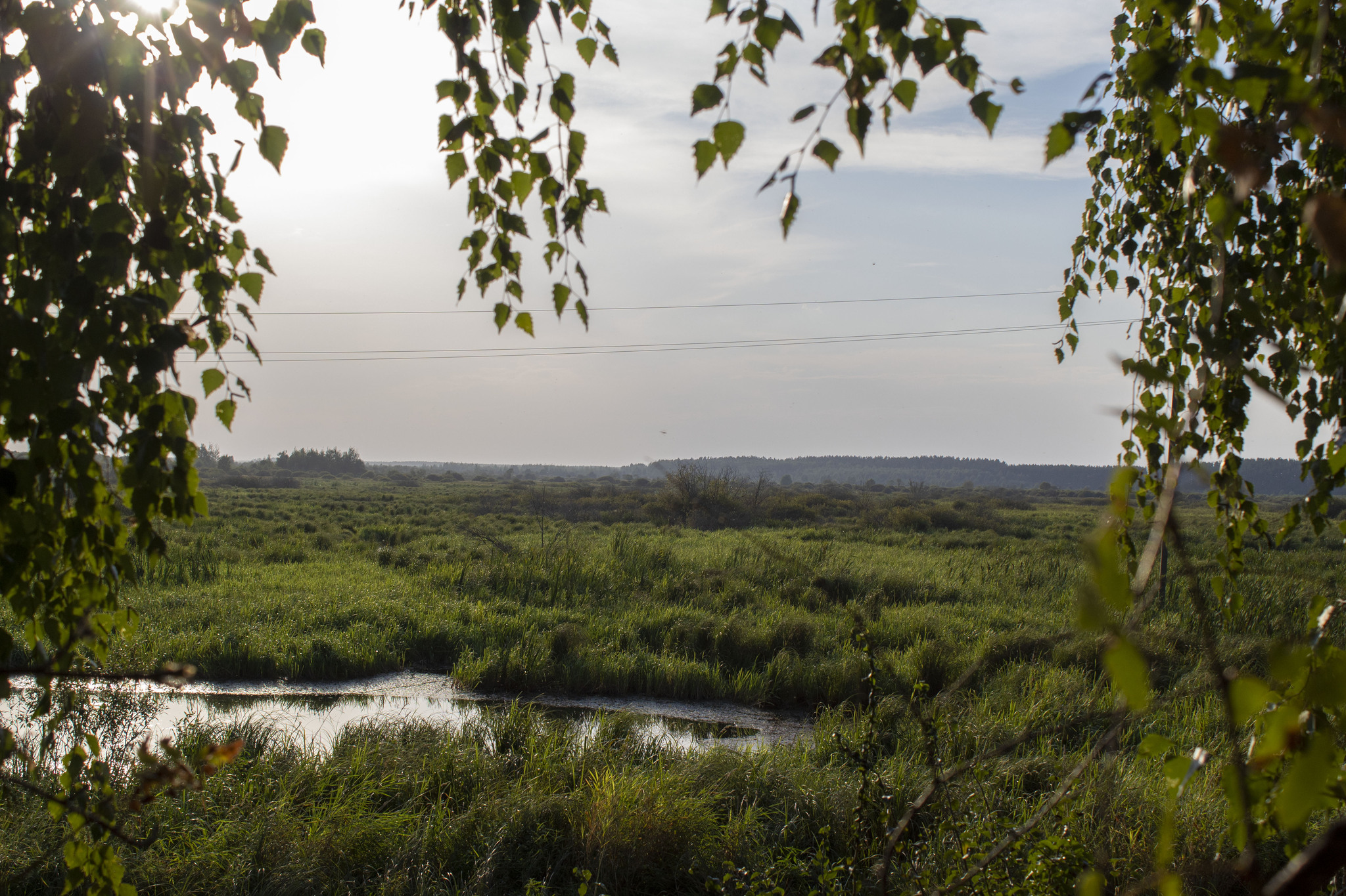 Last day of summer - My, The photo, Nature, Beginning photographer, Longpost