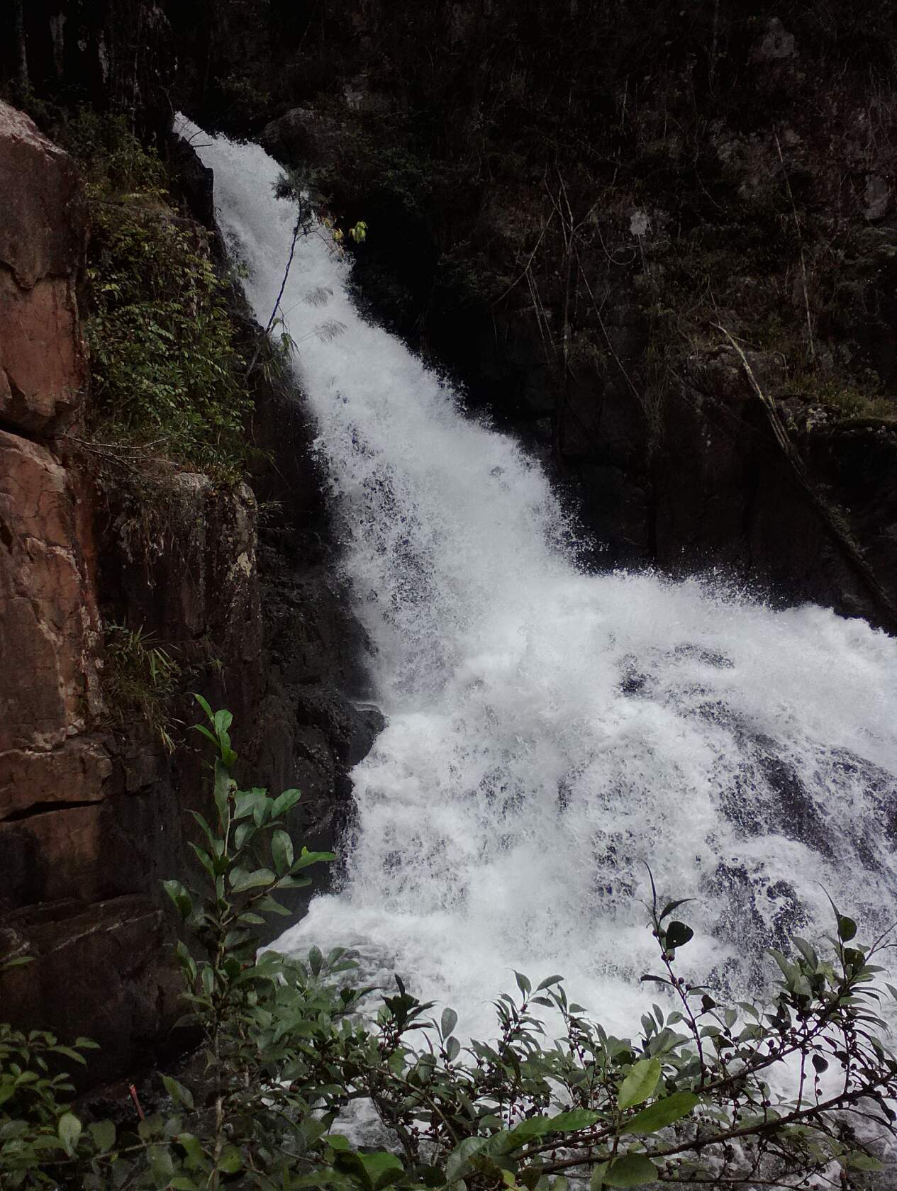 Datanla waterfall. Dalat - sights, Informative, Waterfall, Vietnam, Asia, Southeast Asia, Tourism, Longpost, Travels, Dalat