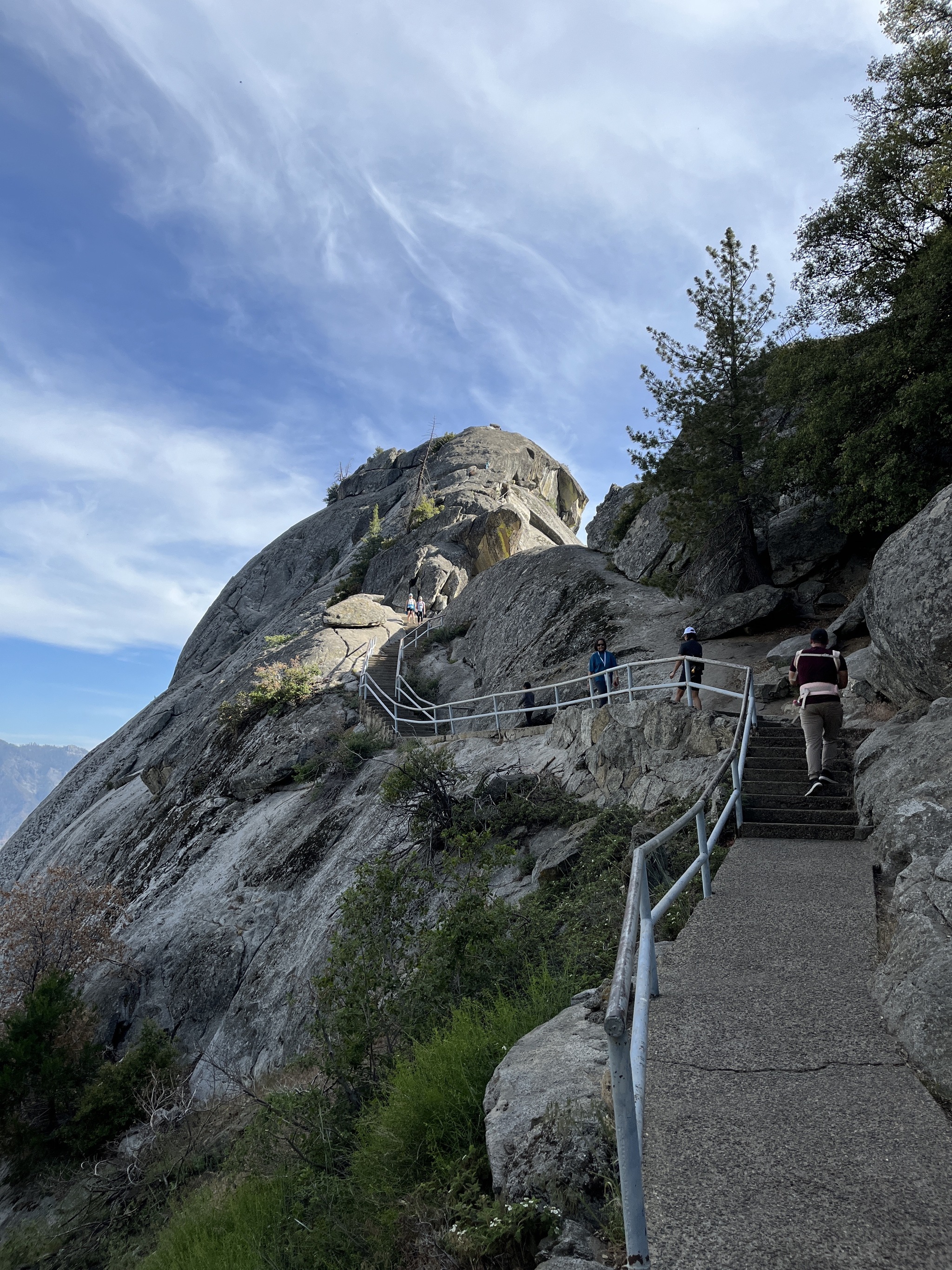 Секвойи в Sequoia National Park - Моё, Отпуск, Путешествия, Туризм, США, Секвойя, Национальный парк Секвойя, Вид, Гиганты, Поездка, Поездка в Америку, Отчет, Видео, Длиннопост, Национальный парк