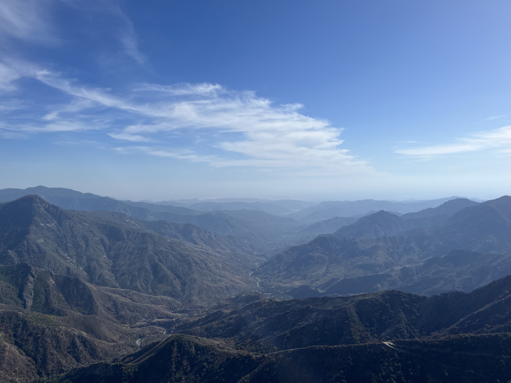 Секвойи в Sequoia National Park - Моё, Отпуск, Путешествия, Туризм, США, Секвойя, Национальный парк Секвойя, Вид, Гиганты, Поездка, Поездка в Америку, Отчет, Видео, Длиннопост, Национальный парк