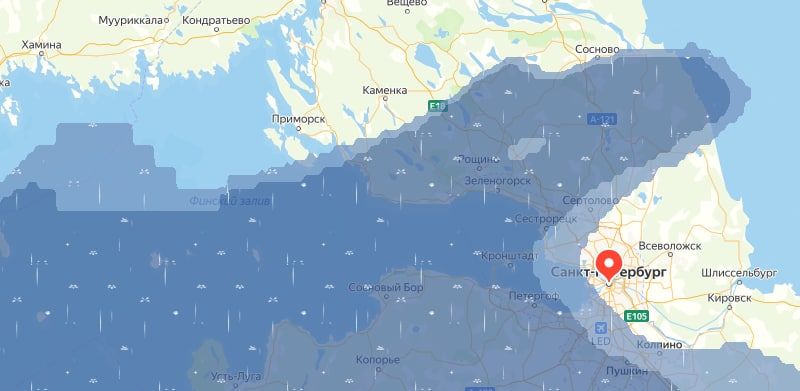 The vile rain ate St. Petersburg summer :((( - My, Pareidolia, Snake, Saint Petersburg, Summer, Rain, Yandex Weather