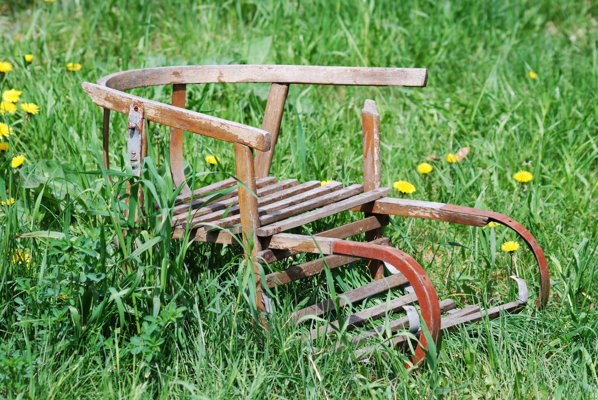 Today is the last day of SUMMER!! - My, Krasnoyarsk, Siberia, The photo, Summer, Sled, Mood