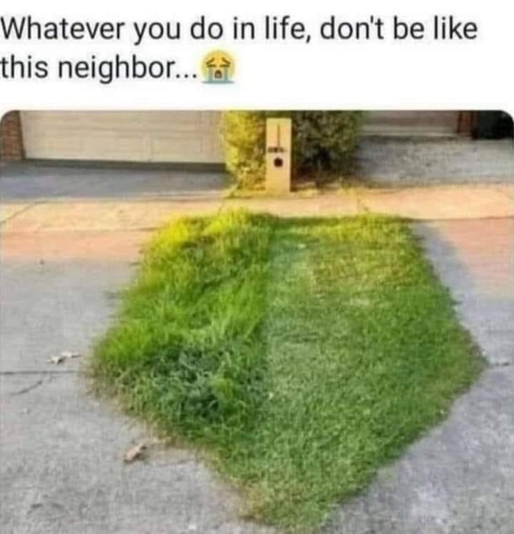Whatever you do in life, don't be like this neighbor - Neighbours, Lawn, Humor, Picture with text