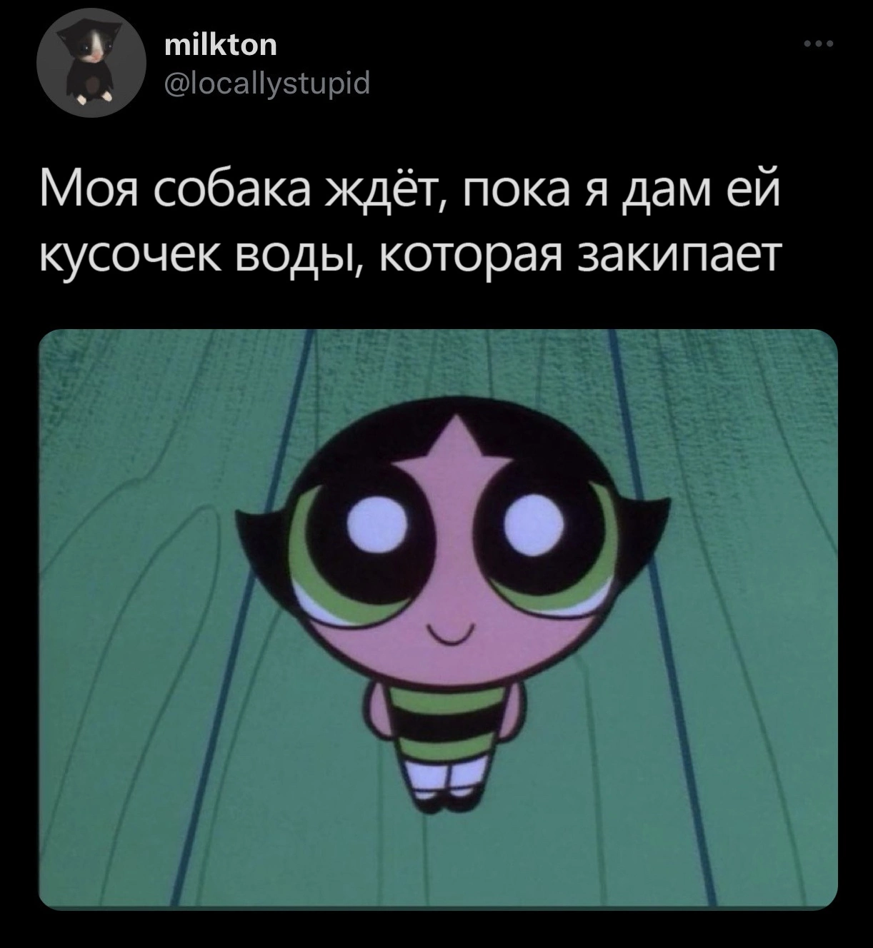 Ну хотя бы кусочек... - Юмор, Скриншот, Twitter, Собака, Клянчит, Вода