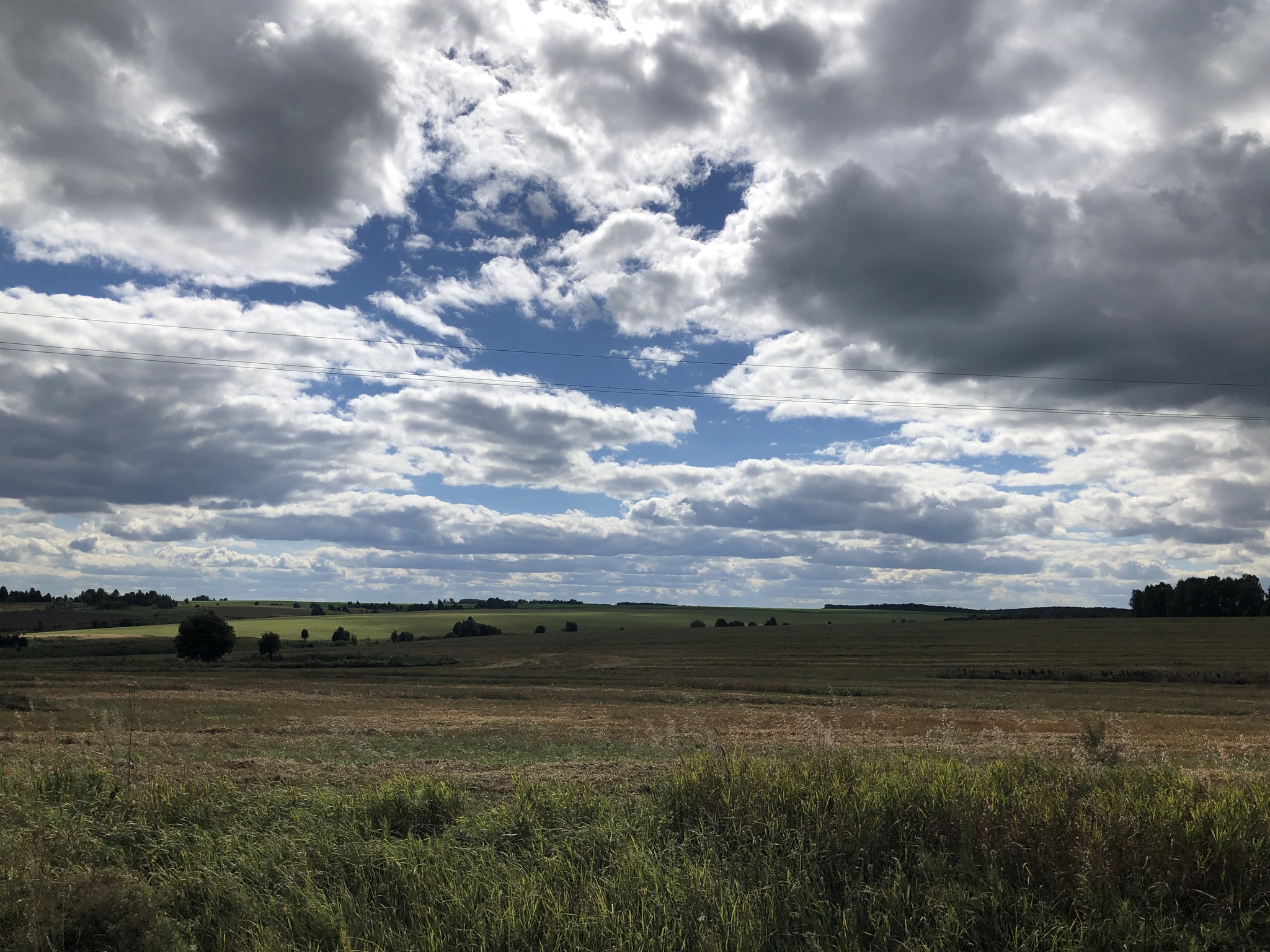 First autumn landscapes. Kaluga region, Przemysl - My, Kaluga region, Village, Black angus, Longpost