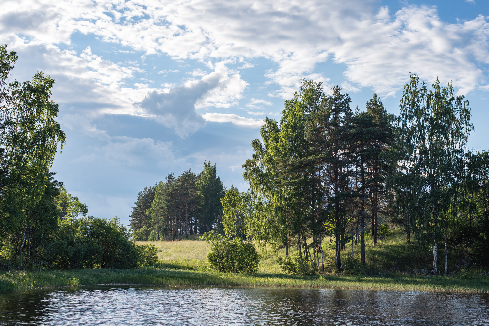 Hike on the Ladoga skerries on yachts - My, The photo, Photographer, Landscape, Nikon, Ladoga, Ladoga skerries, Yachting, Wind power, Longpost, Saint Petersburg, Leningrad region