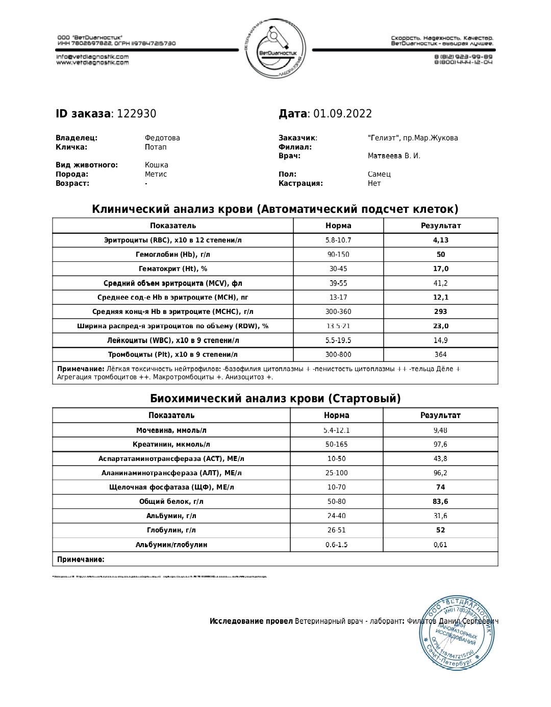 Продолжение поста «Очень нужен дом рыжему беззубому старому коту с плохим зрением. Оказался на улице. СПБ и ЛО (Тосно)» - Моё, Кот, Котята, Спасение животных, Бездомные животные, Ленинградская область, Тосно, Ответ на пост, Длиннопост, Санкт-Петербург