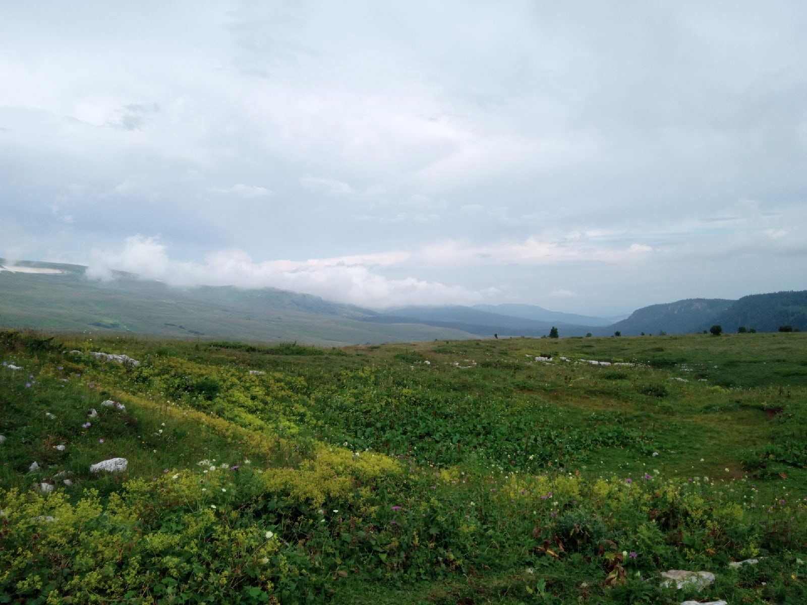 Our trip to the south of Russia. Chapter 1 - My, Summer, Tent, Hike, Mountain tourism, Tourism, Caucasus, Longpost, Lago-Naki plateau