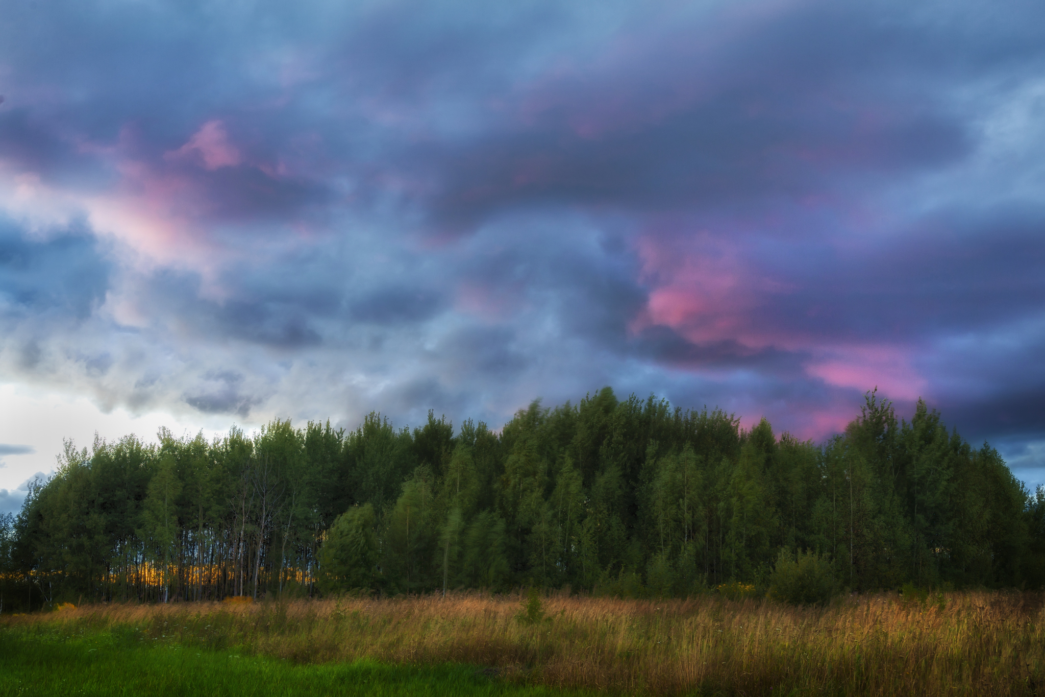 Sunset - My, The photo, Sky, Nature, Forest, Autumn, Clouds, Sunset