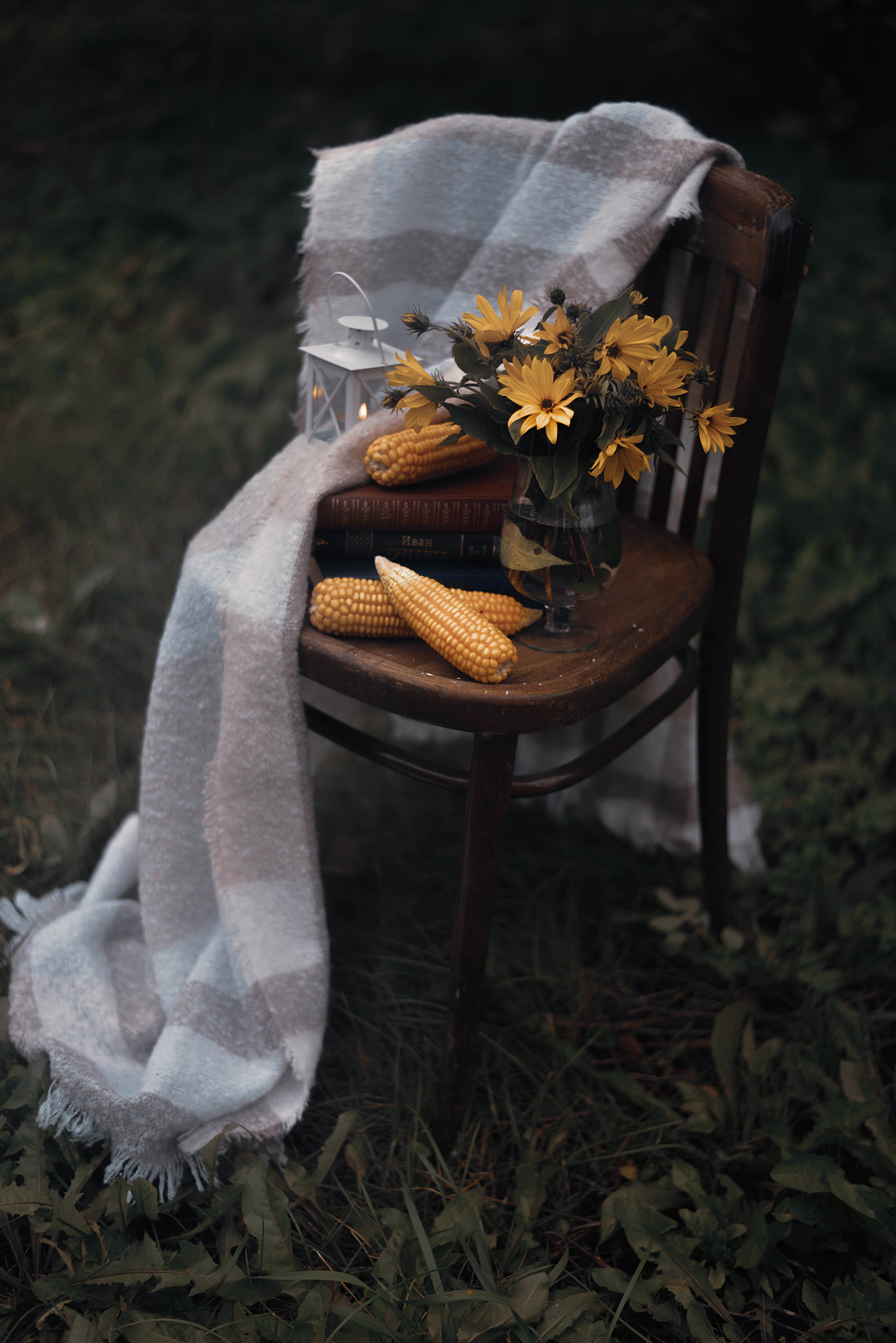 Autumn mood post - My, The photo, Nature, The nature of Russia, The park, Autumn, Blues, Depression, Longpost, Macro photography