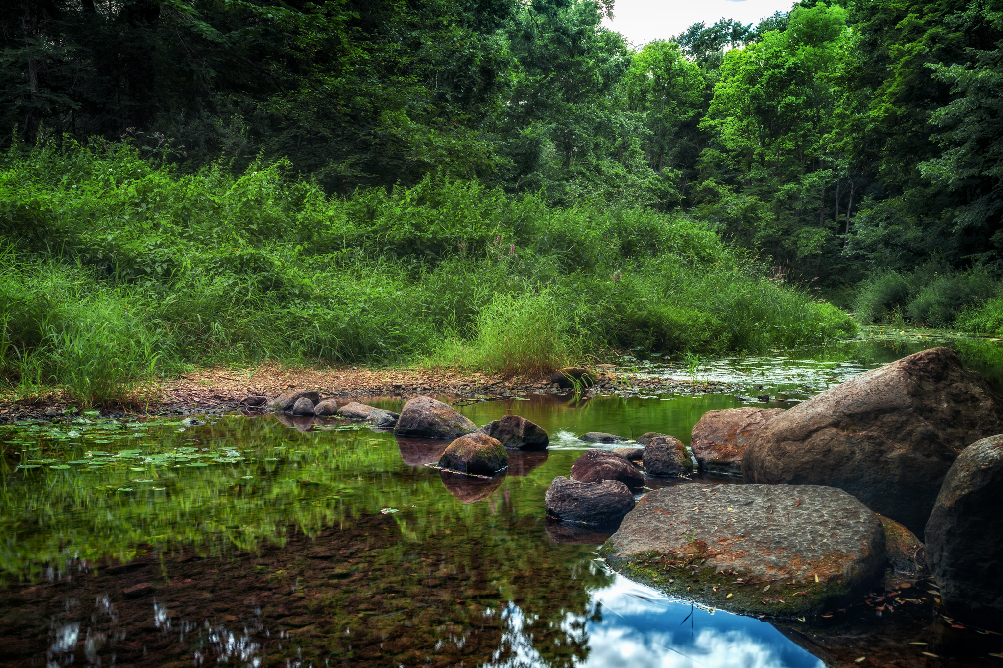 Stream in the woods - My, The photo, Sky, Nature, Forest, Stream, Summer