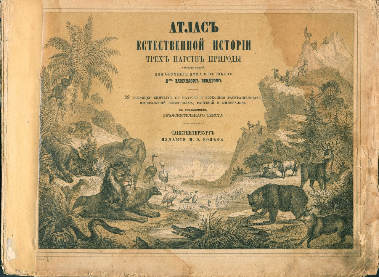 Немного старой реконструкции ископаемых животных - Палеонтология, Динозавры, Мамонт, История, Ихтиозавры, Длиннопост, Игуанодон