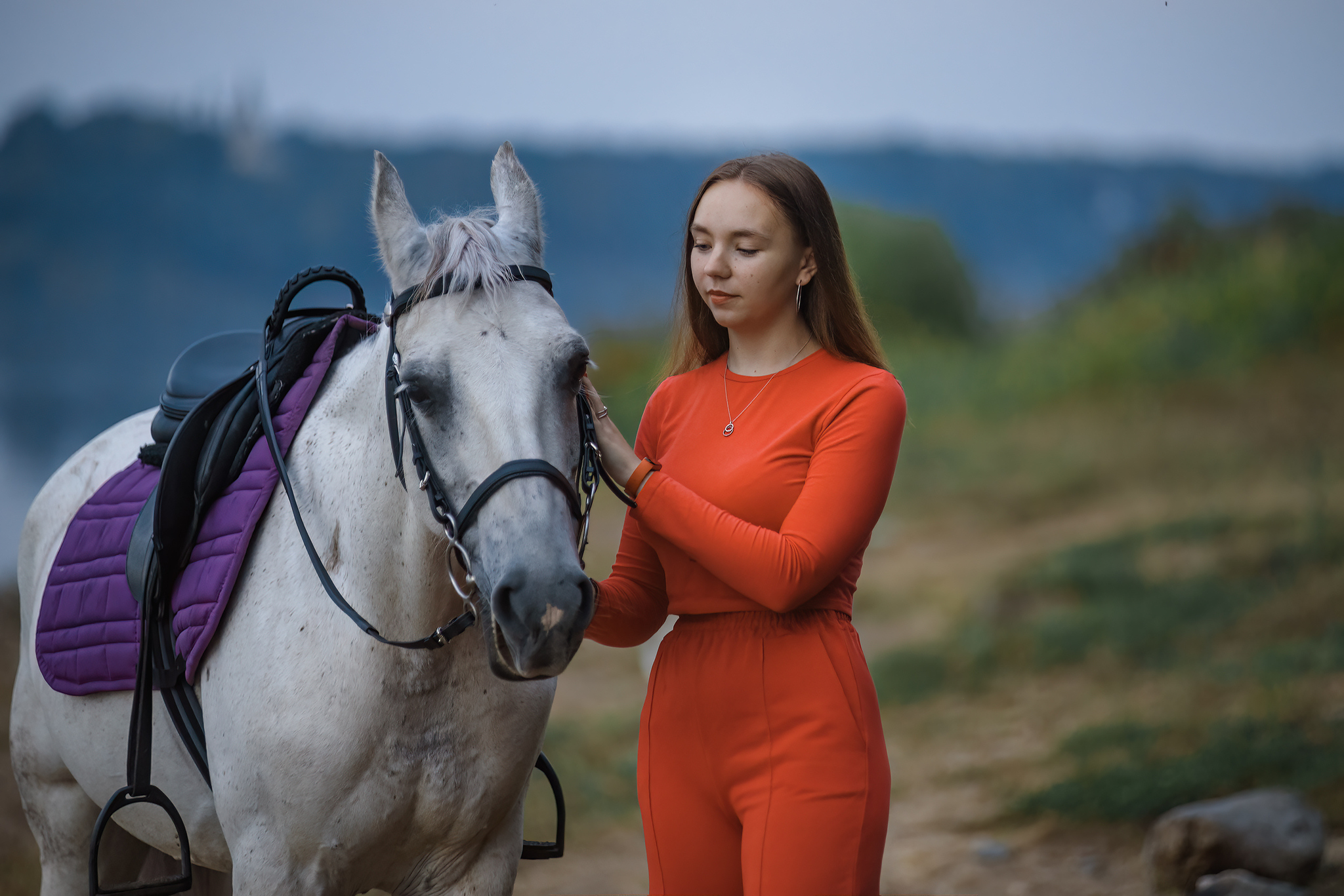 with horses - My, The photo, Forest, Pets, Summer, Grass, Walk, Horses, Girls, Children, Longpost, Volga river