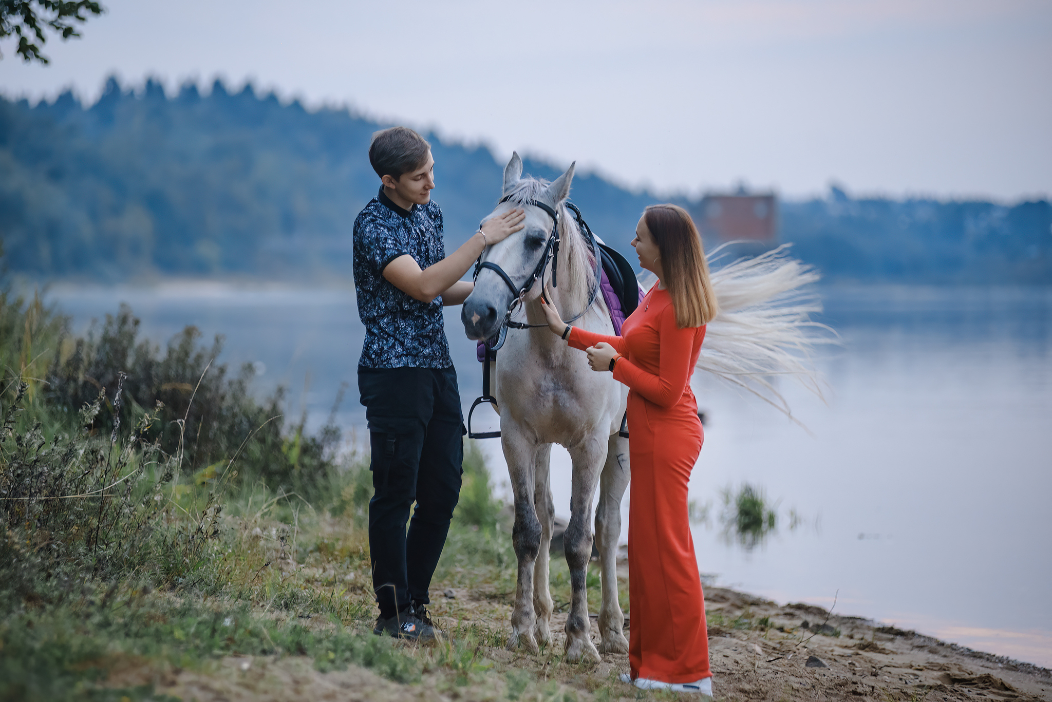 with horses - My, The photo, Forest, Pets, Summer, Grass, Walk, Horses, Girls, Children, Longpost, Volga river