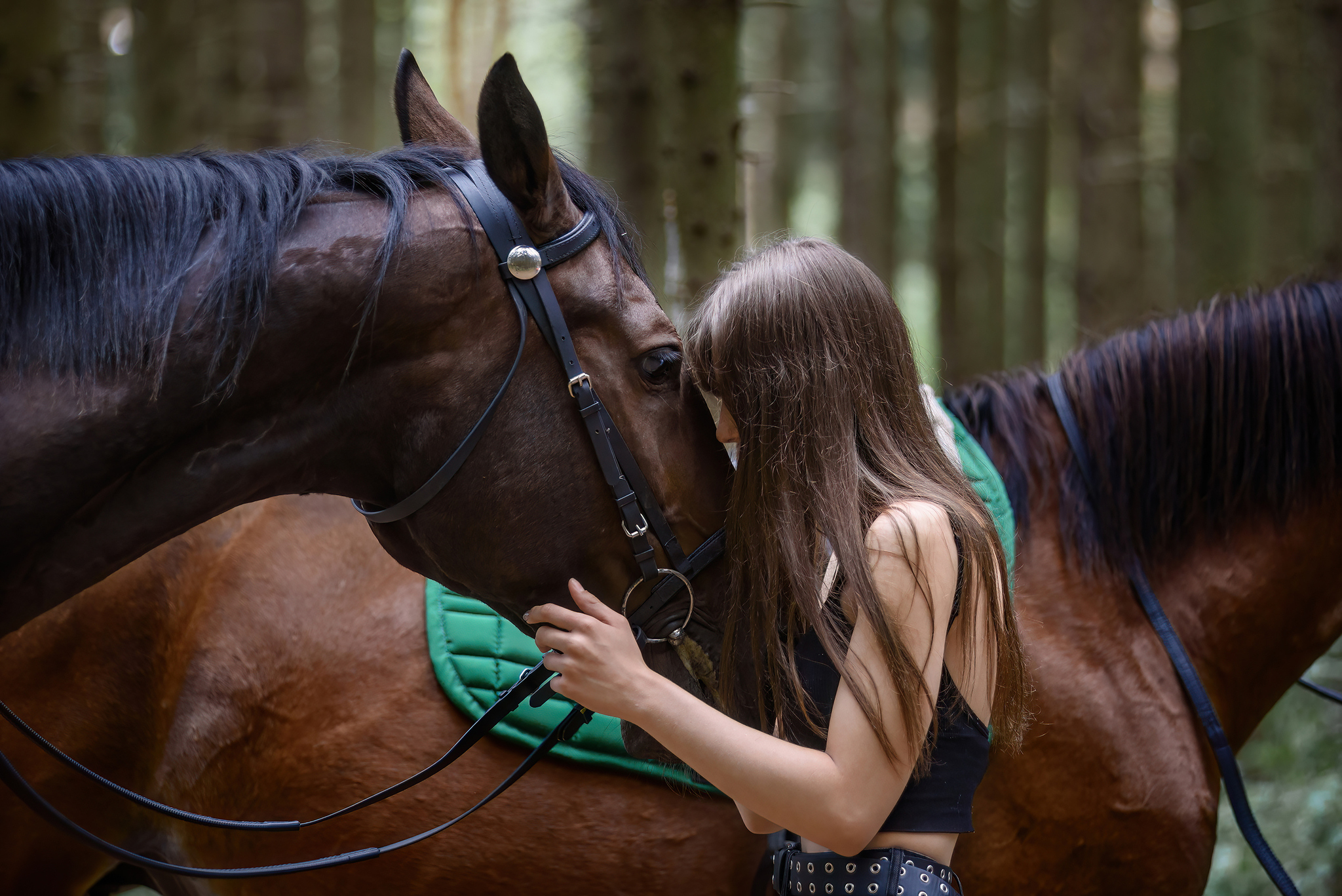 with horses - My, The photo, Forest, Pets, Summer, Grass, Walk, Horses, Girls, Children, Longpost, Volga river