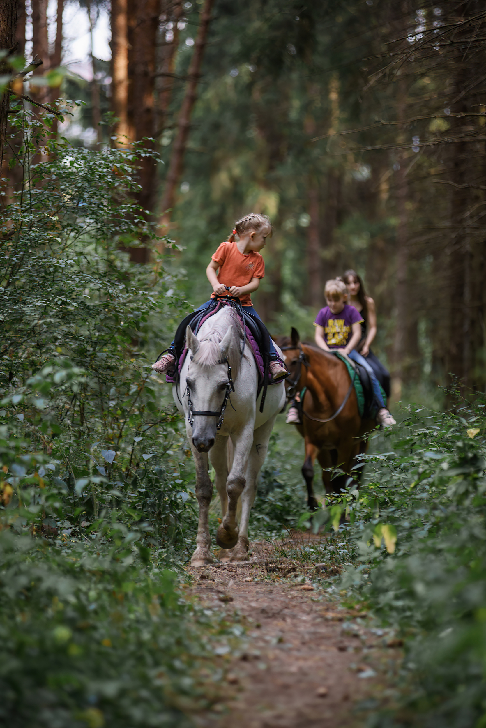 with horses - My, The photo, Forest, Pets, Summer, Grass, Walk, Horses, Girls, Children, Longpost, Volga river