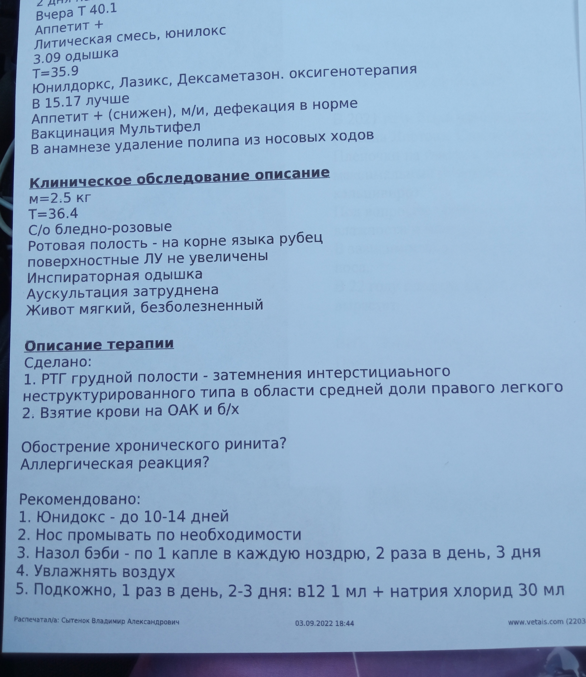 Продолжение поста «Дачному спасенышу Пухлику плохо. Собираюсь в клинику» |  Пикабу