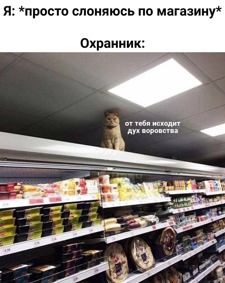 Картинка смешная, ситуация страшная... - Юмор, Смех, Тонкий юмор, Кот, Магазин, Синдром вахтера, Картинка с текстом, Охранник