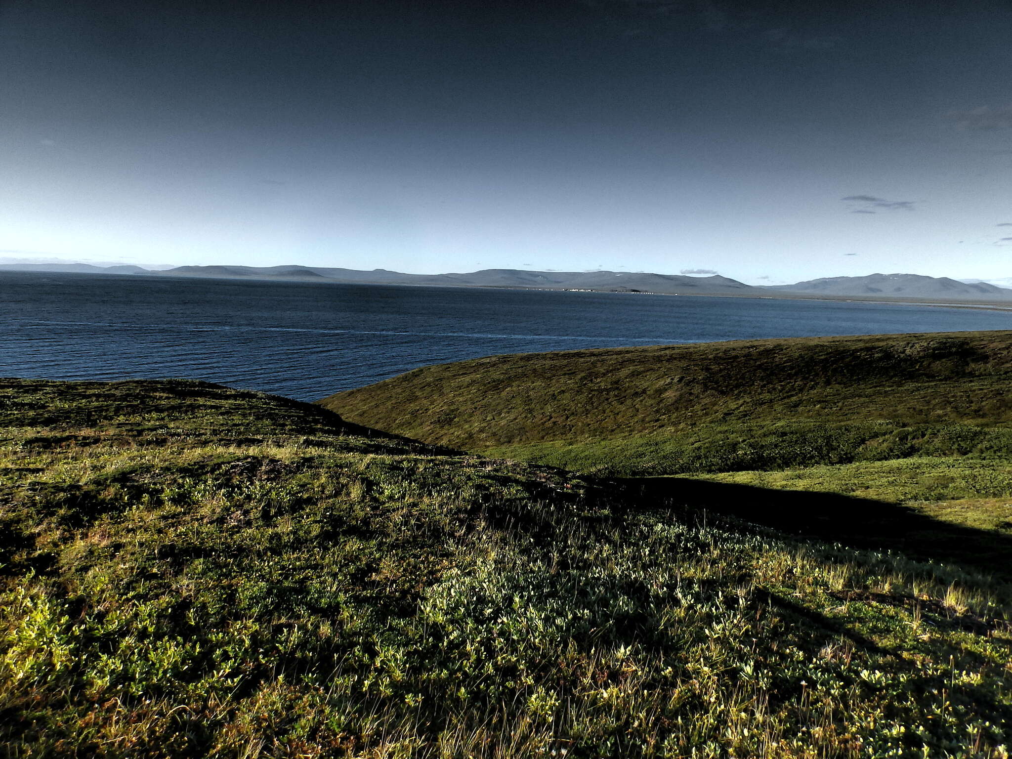 There is a city of Pevek in Chukotka. Tundra, summer part 1 - My, Pevek, Chukotka, Arctic, North, Summer, Tundra, Longpost, The photo