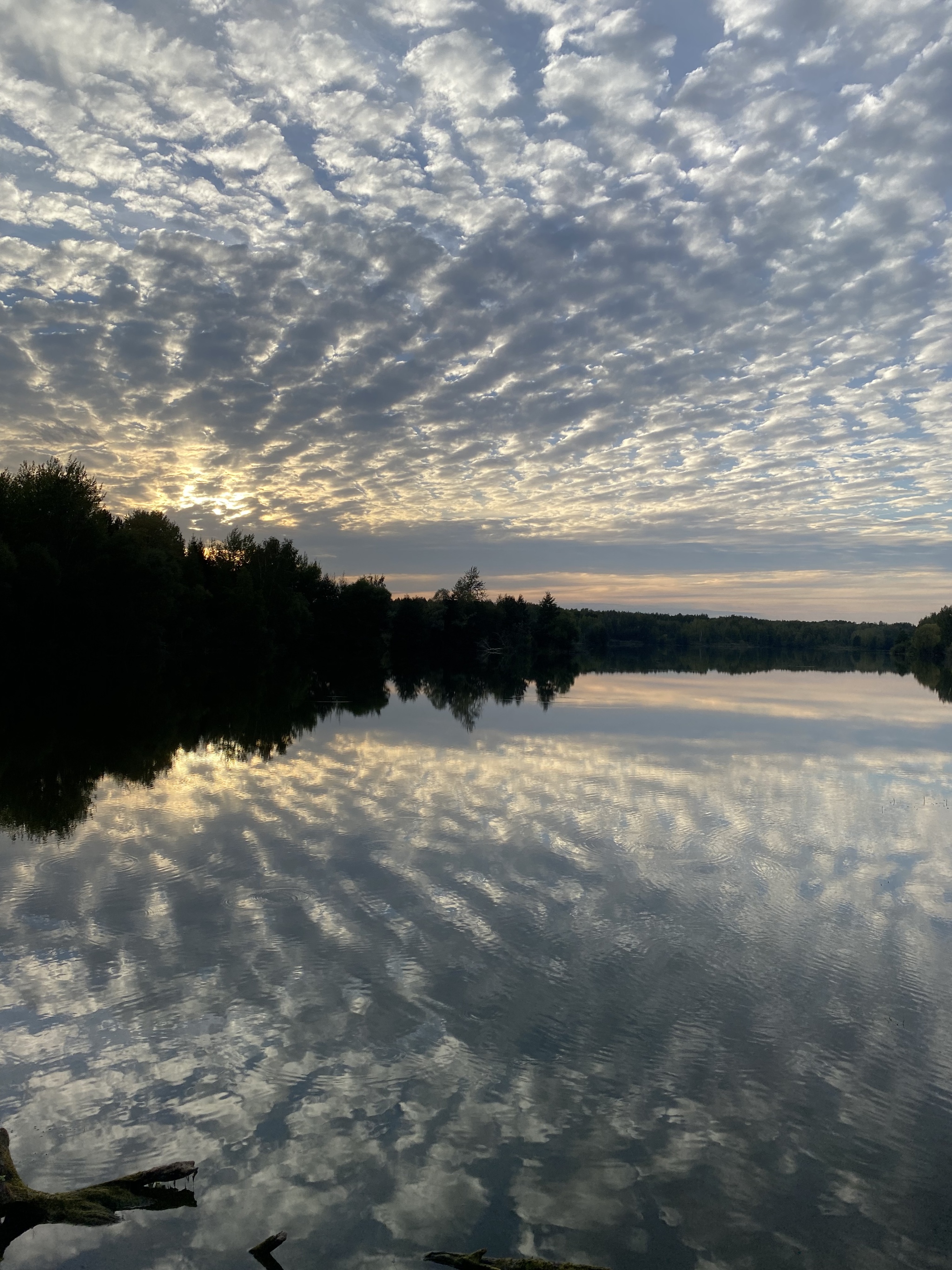 Lake - My, Lake, The photo, Mobile photography, Sky, Clouds, Reflection, beauty of nature