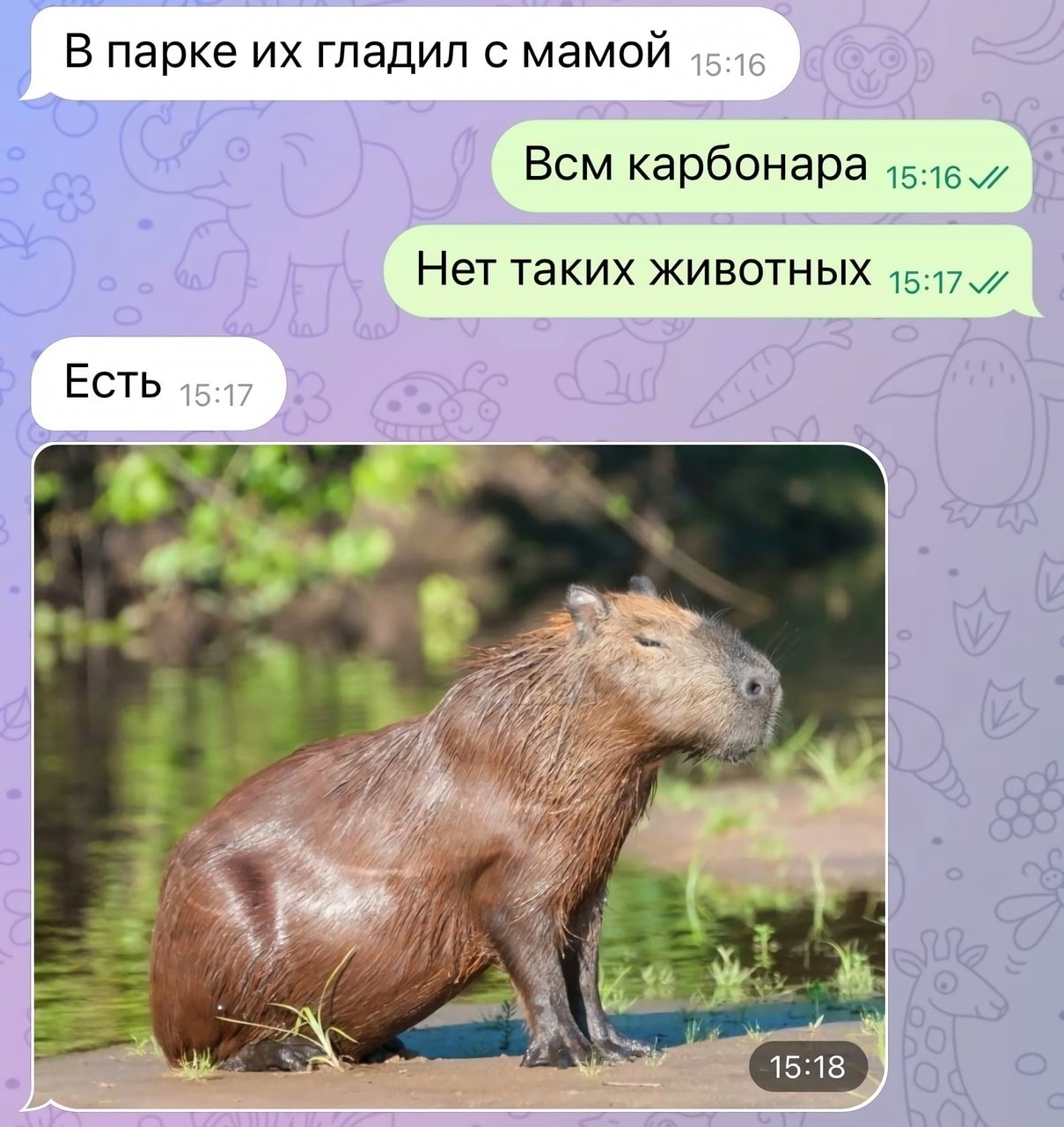 Oh those carbonaras... - Capybara, Humor, Correspondence, Screenshot, Picture with text