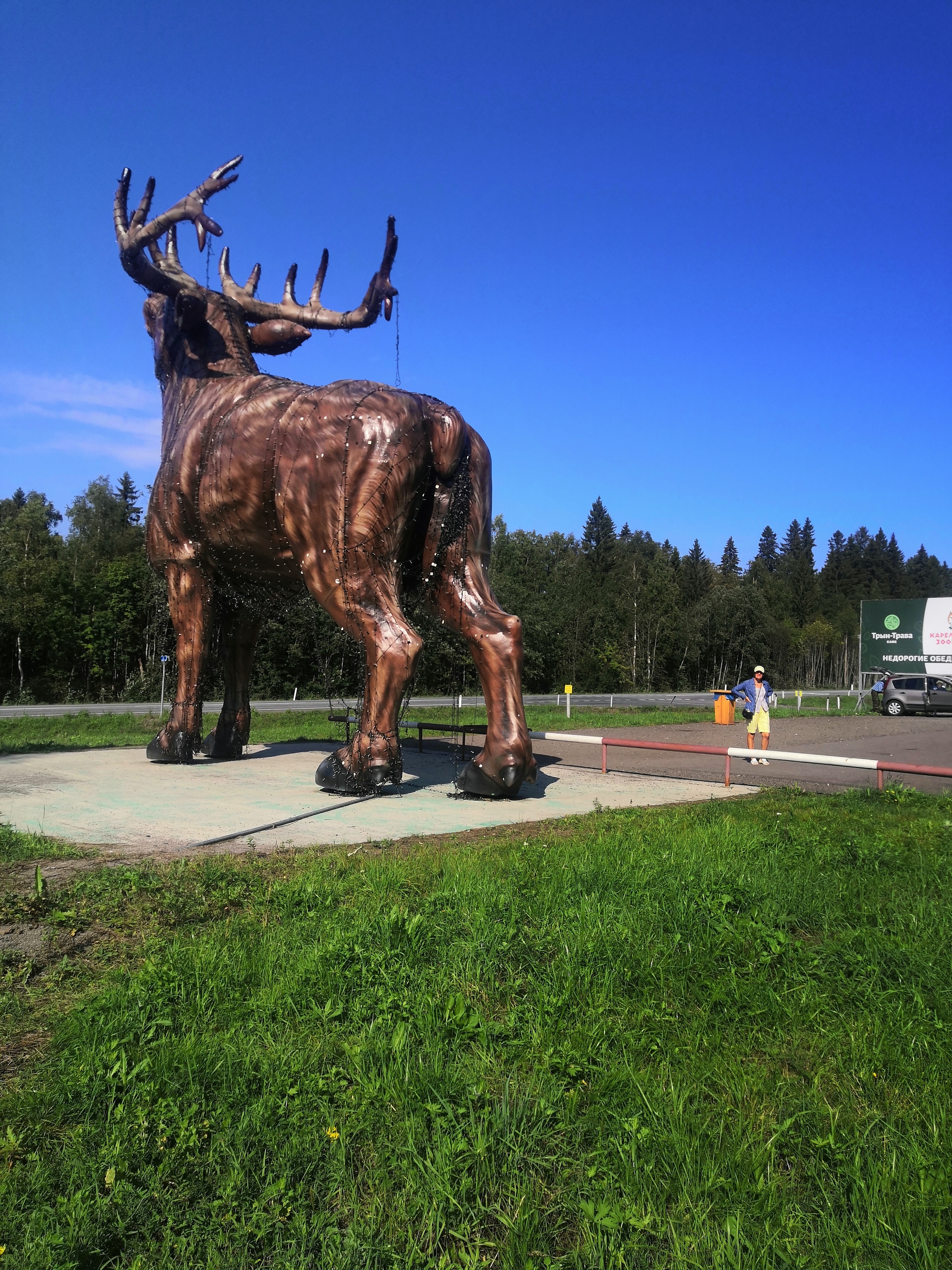 Karelia - My, Карелия, Zoo, Mat, Longpost