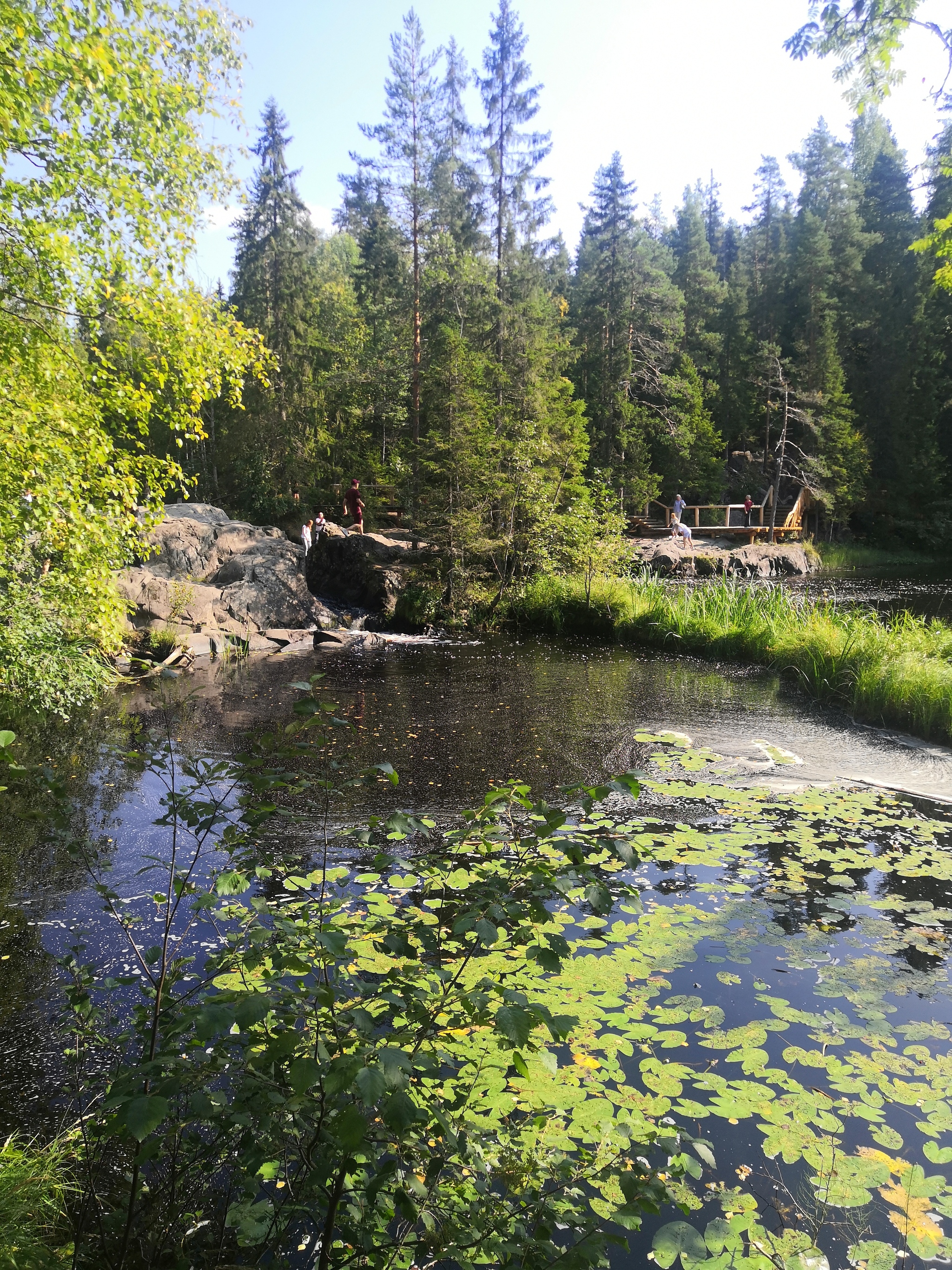 Karelia - My, Карелия, Zoo, Mat, Longpost