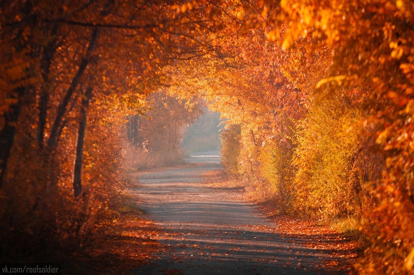 Autumn - Autumn, Omsk, beauty of nature, The photo