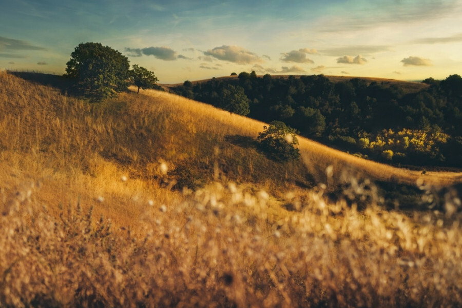 Beauty of Serbia. brda bunny - Serbia, Europe, The Blind Man, The hills, Gerbil, Sandstone, Paradise, Oasis, Informative, Interesting, Interesting places, Entertaining, Serbs, Video, Longpost, Green