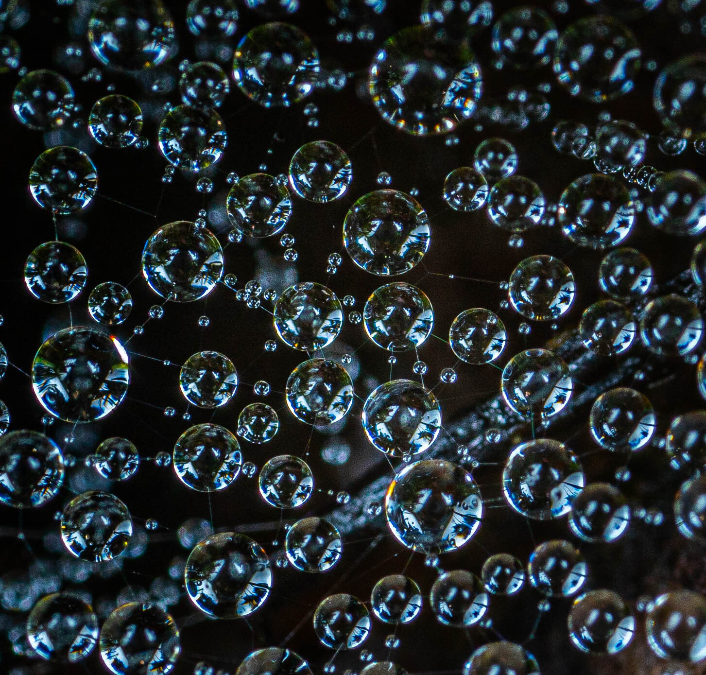 droplets - My, Macro photography, Drops, Mp-e 65 mm, The photo