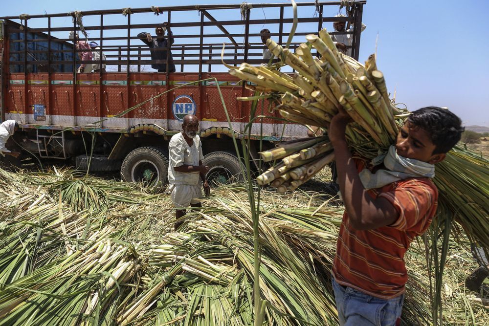 Who is really feeding whom? Breaking stereotypes about America, Africa and China - Rise in prices, Facts, Inflation, Informative, Europe, USA, Africa, Food, Statistics, Food, A crisis, Hunger, Onliner by, European Union, Republic of Belarus, Longpost, Politics, Economy, Asia