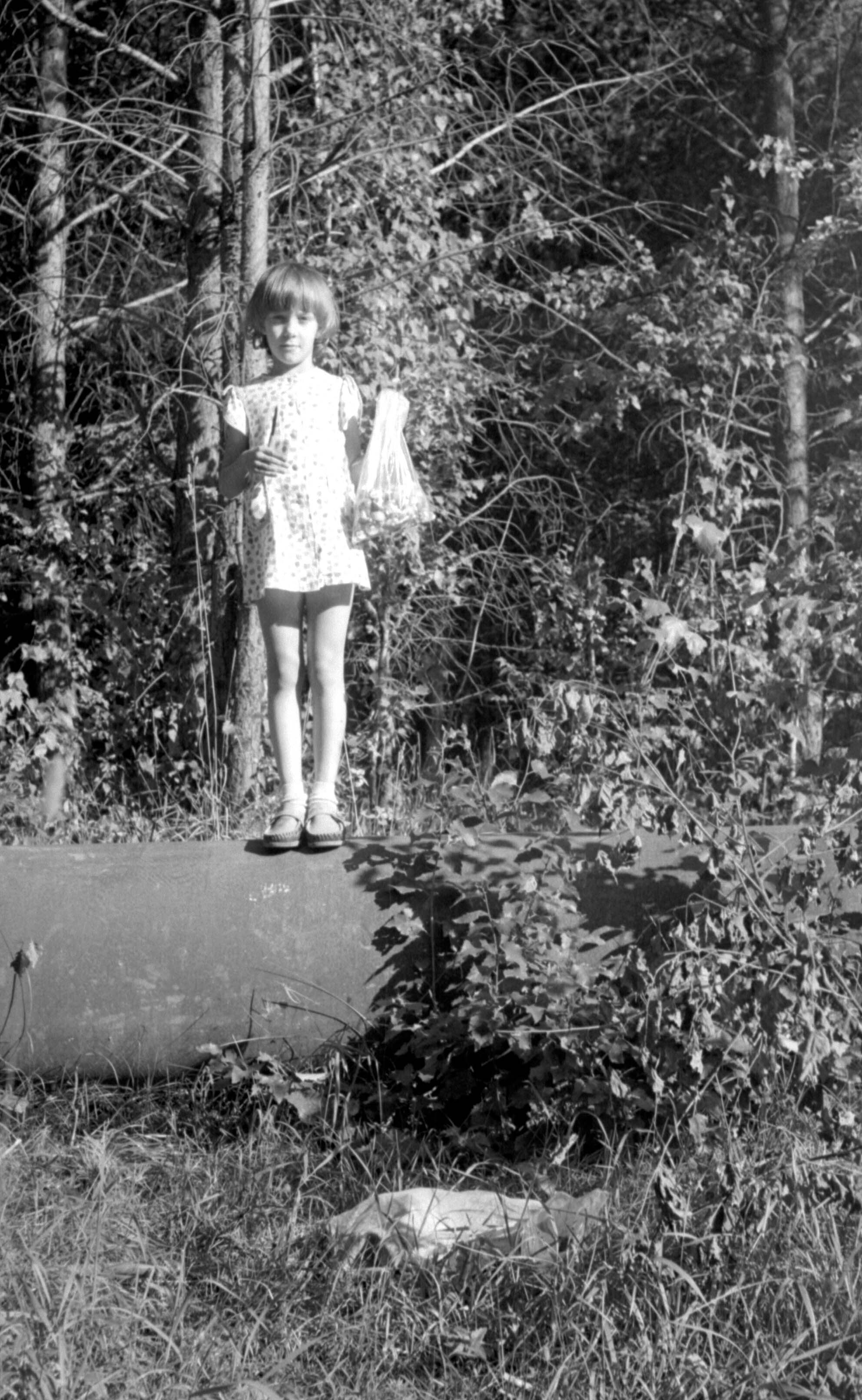 Russians on the pipeline - My, Gas pipeline, Forest, Mushrooms, Children, Knife, Black and white photo