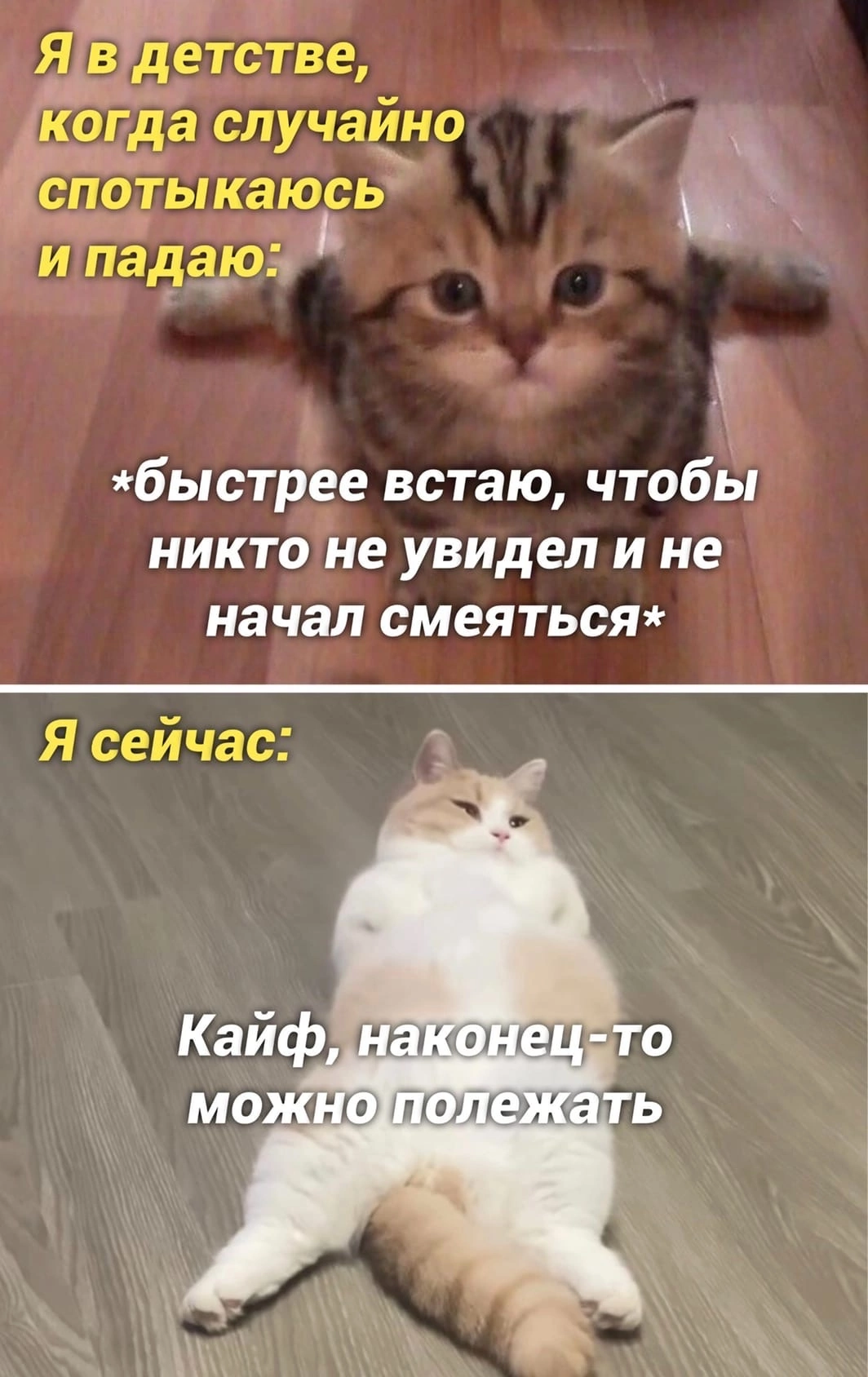 Упавший кот мем. Мем про кота упавшего. я падаю мем кот. кот я упал. кот упал мем.