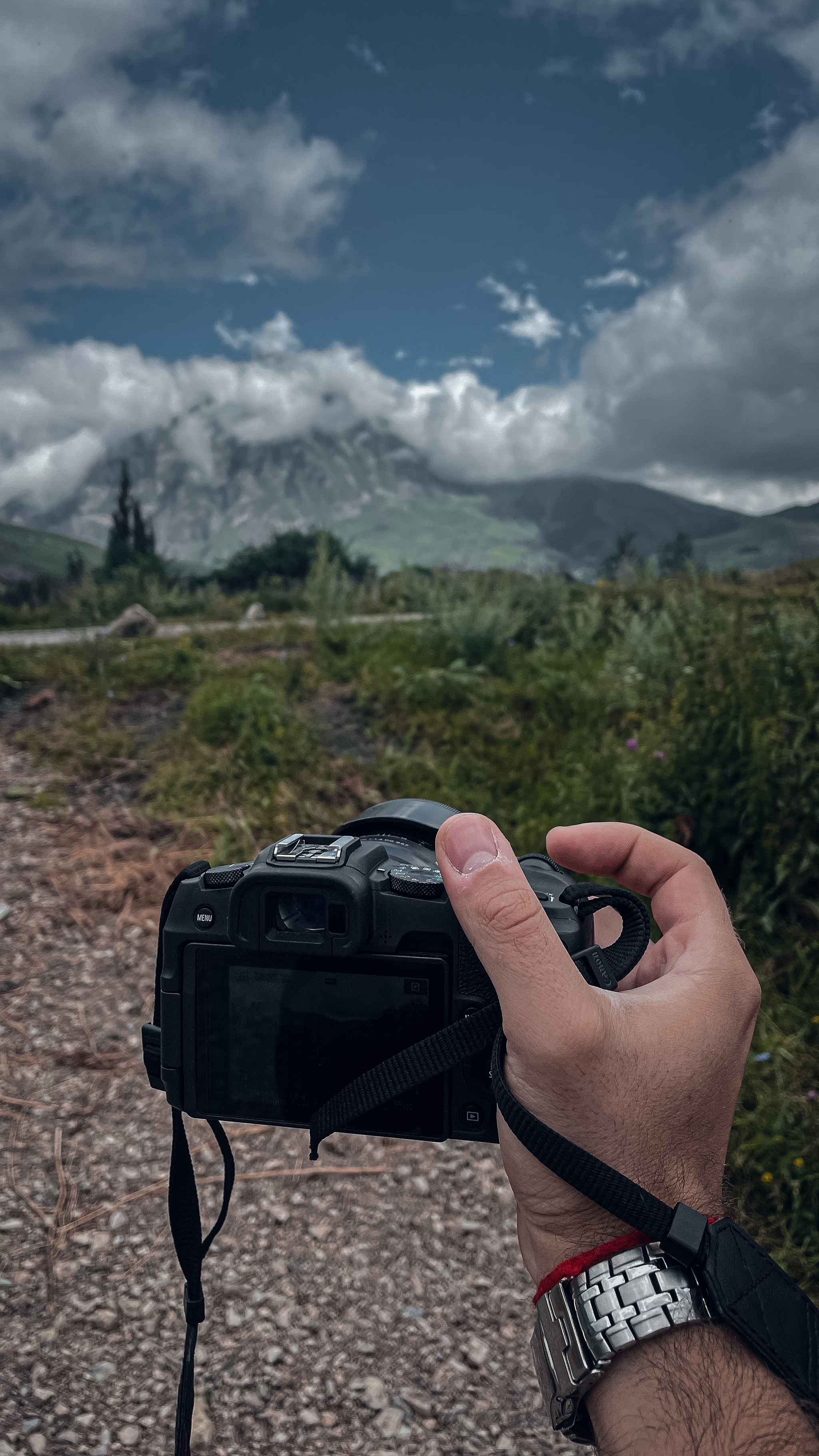 Office - My, The photo, Landscape, Forest, Stars, Longpost