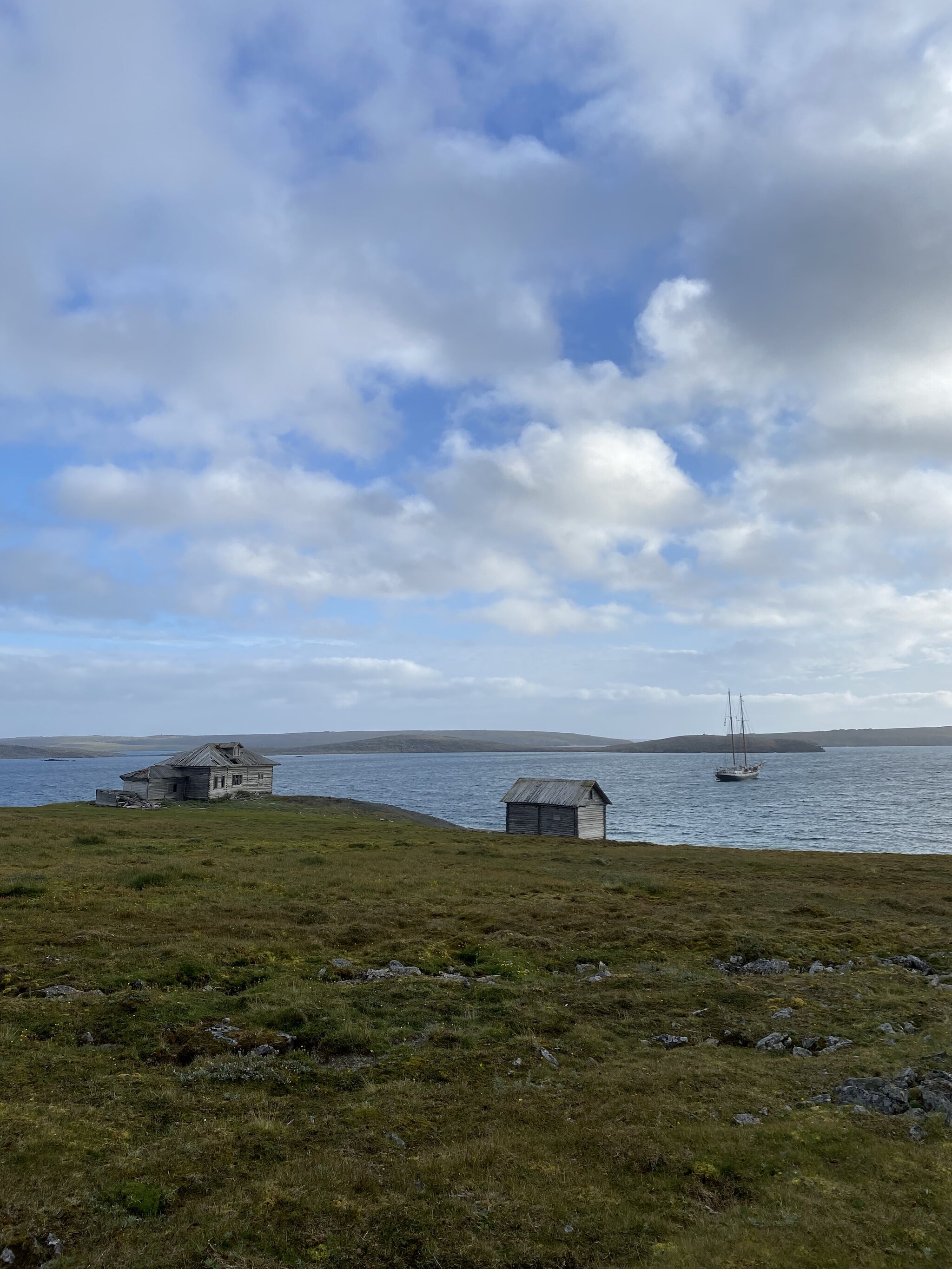 O. Vaygach and South Island (Novaya Zemlya) on the schooner Amazone - My, North, Vaygach, New earth, Novaya Zemlya Archipelago, Schooner, Longpost, Polar bear